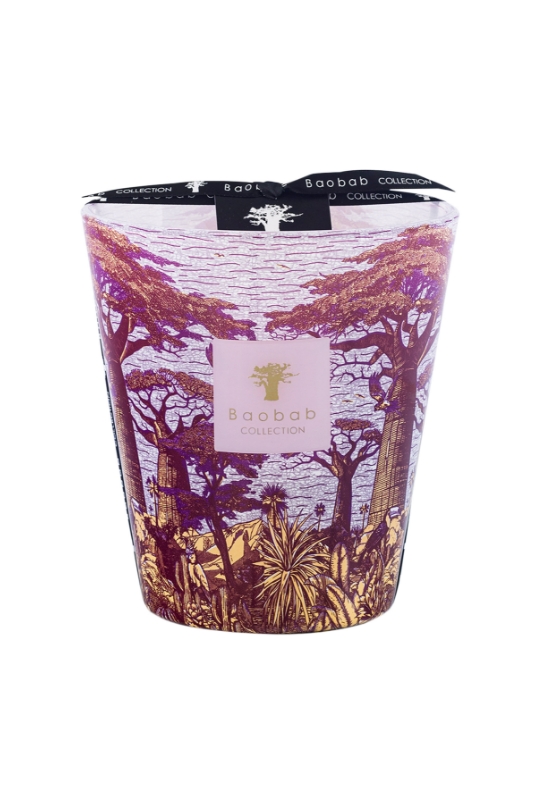 Baobab Collection