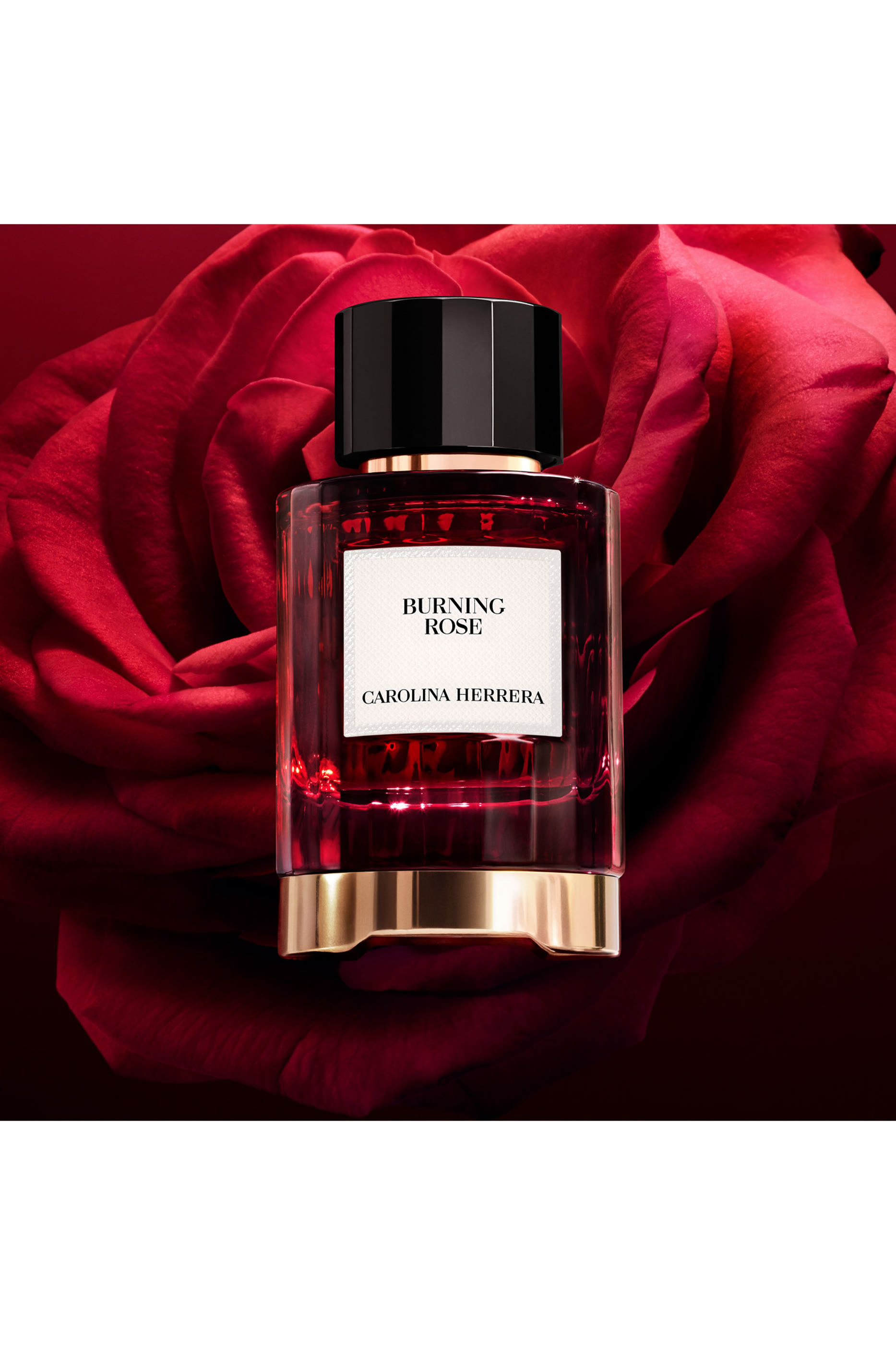Herrera Confidential Burning Rose Eau de Parfum