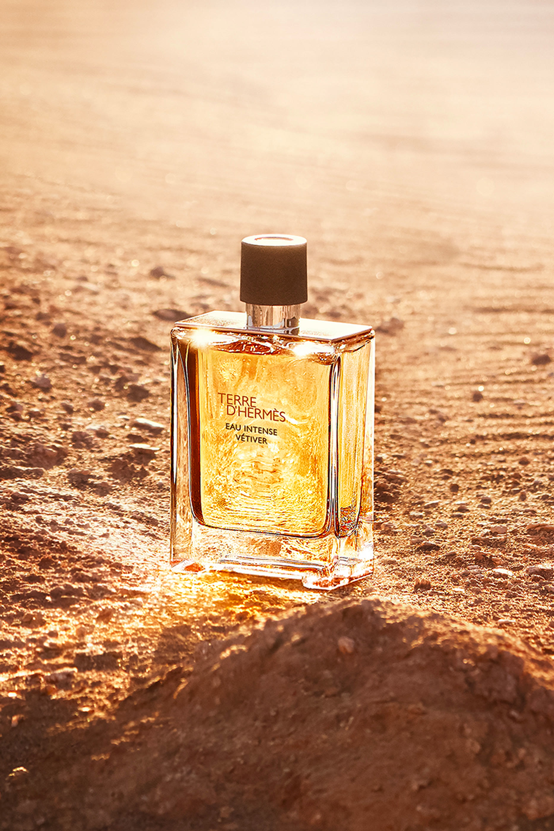 Terre d'Hermès Eau Intense Vétiver, ماء عطر
