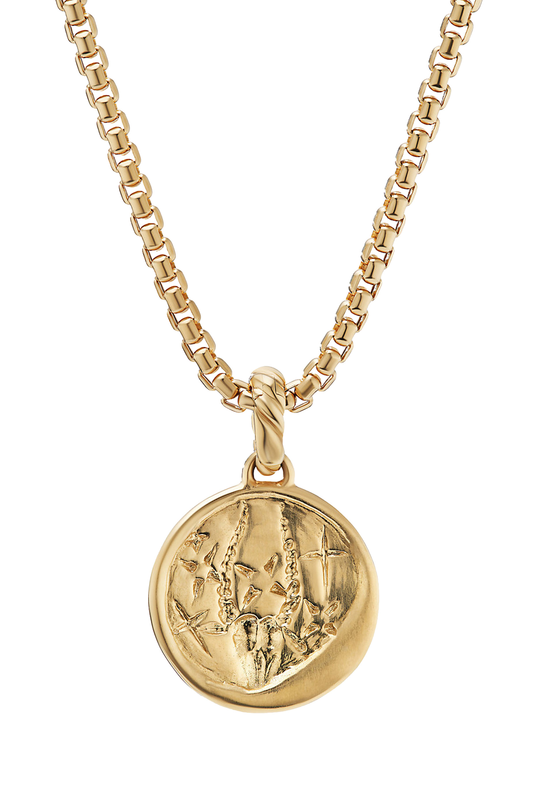 Capricorn Zodiac Amulet