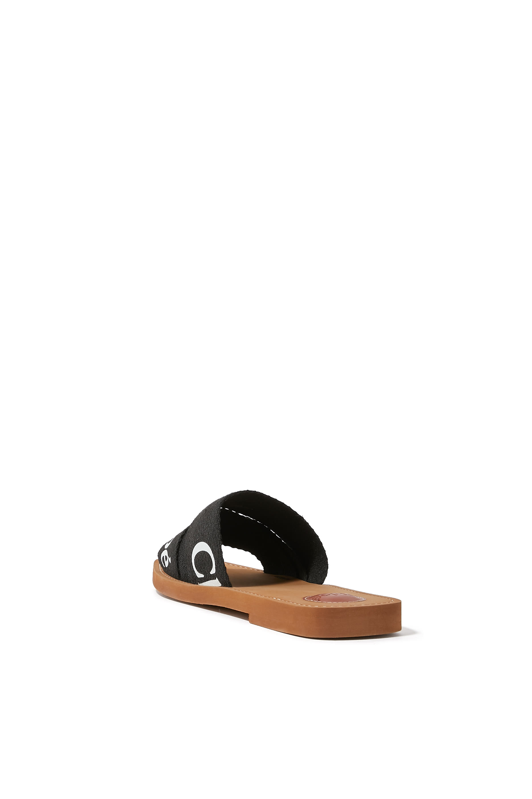 Woody Logo Slides