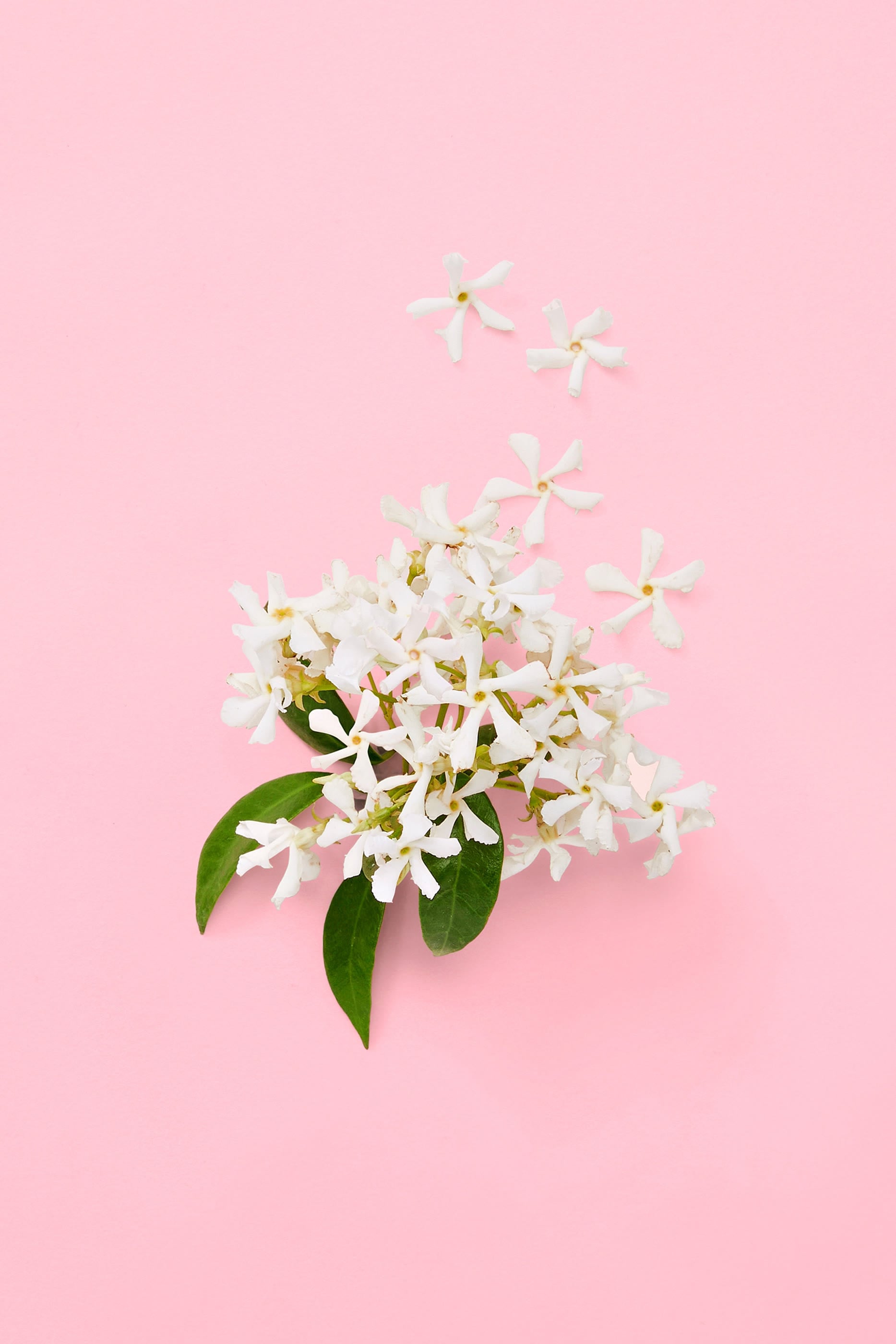 Flora Gorgeous Jasmine Eau De Parfum