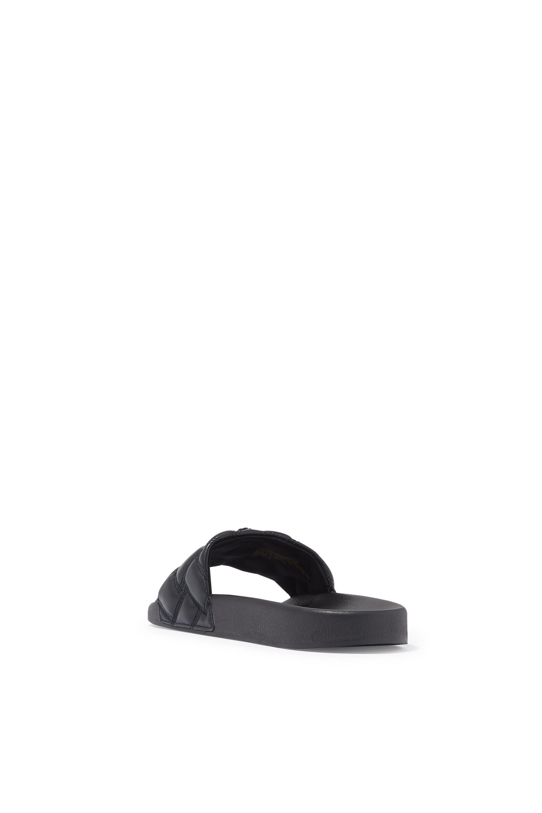 Meena Eagle Slides