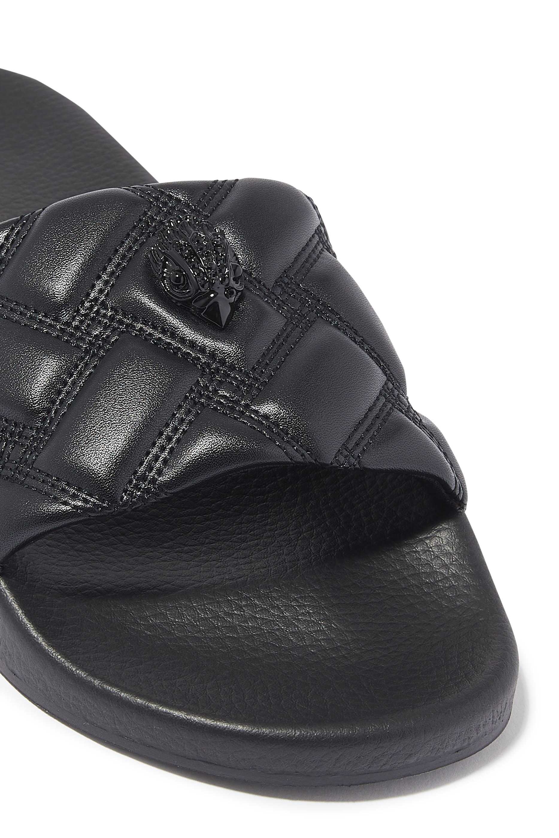 Meena Eagle Slides