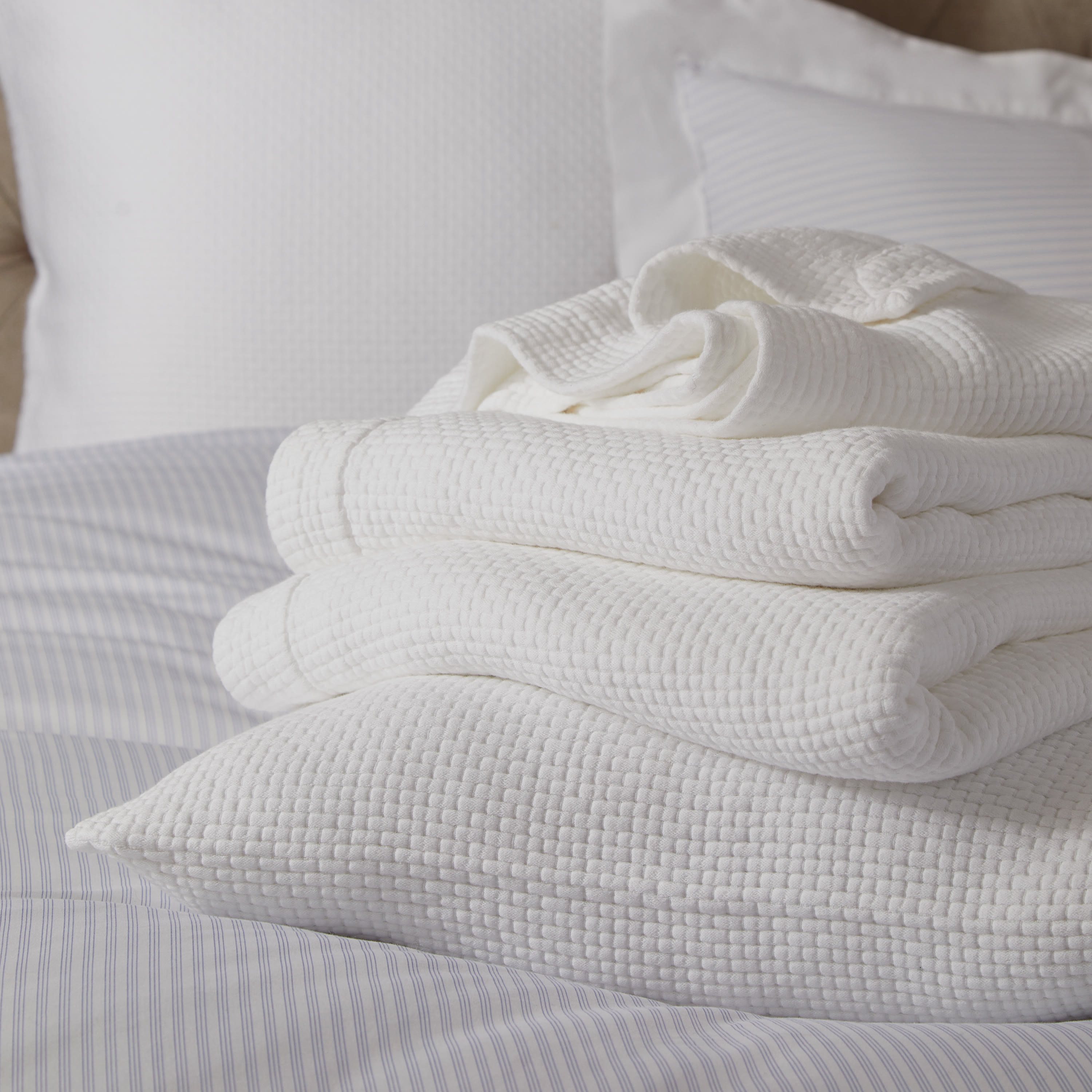 Colville Cushion Cover