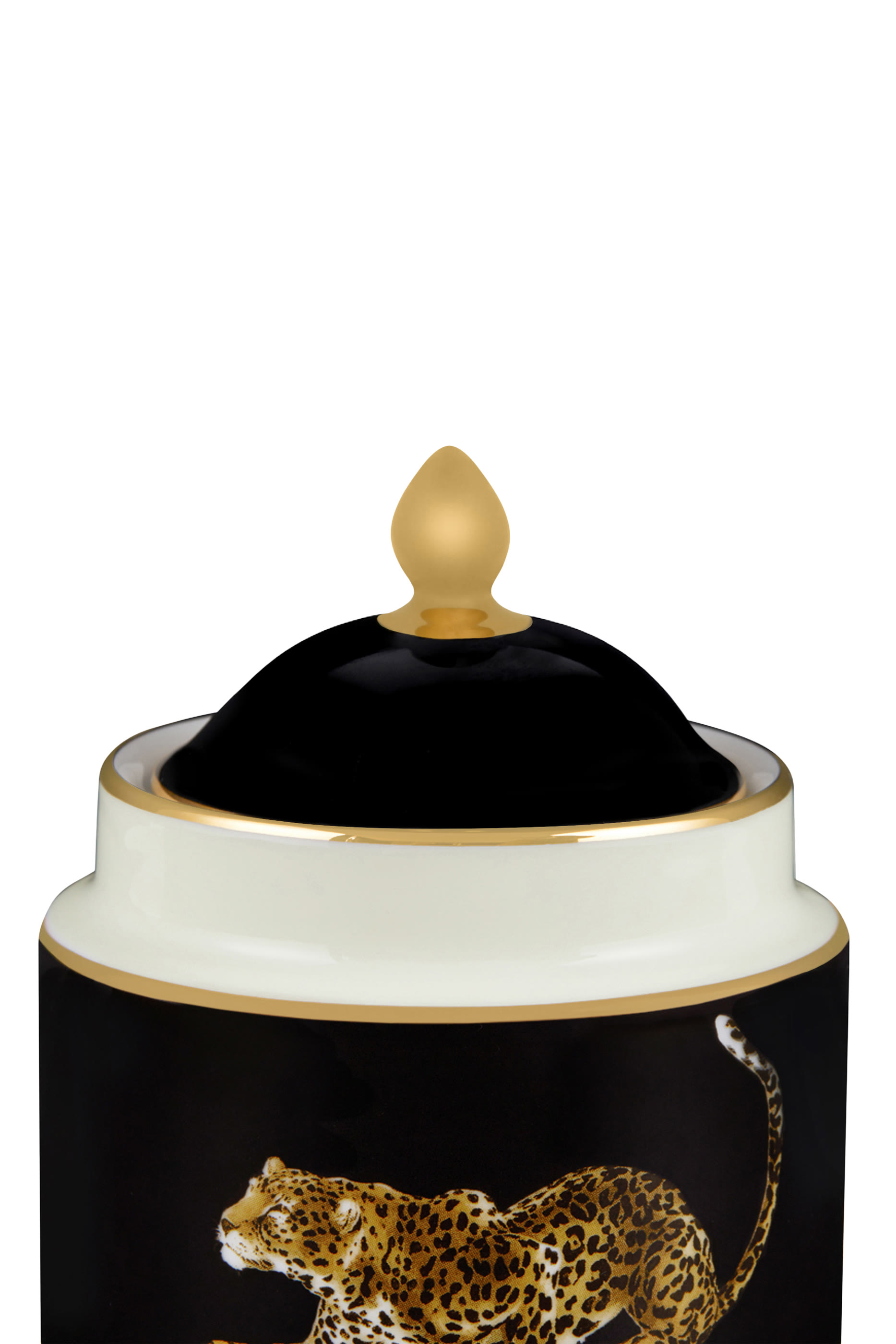 Leo Sugar Bowl