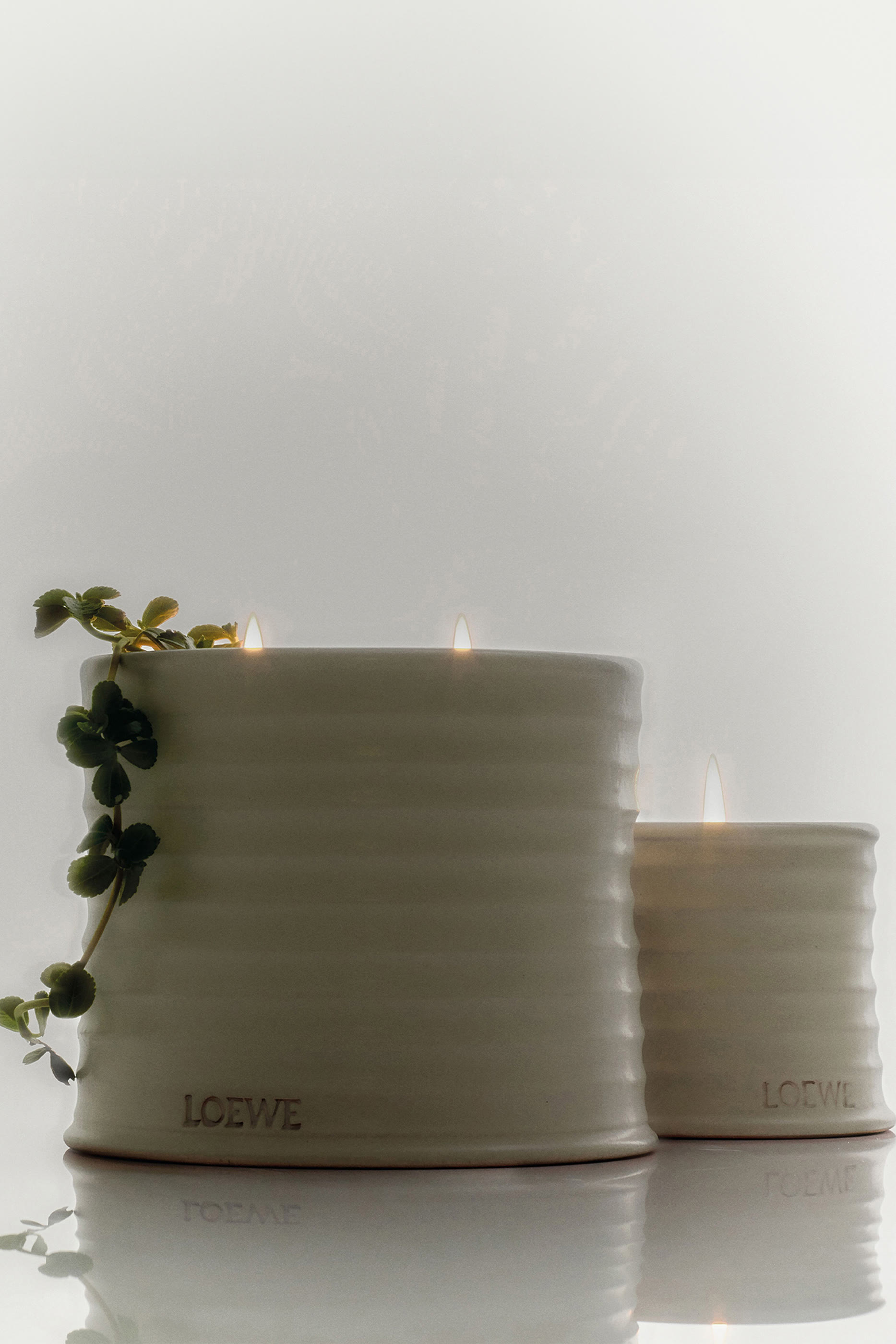 Oregano Scented Candle