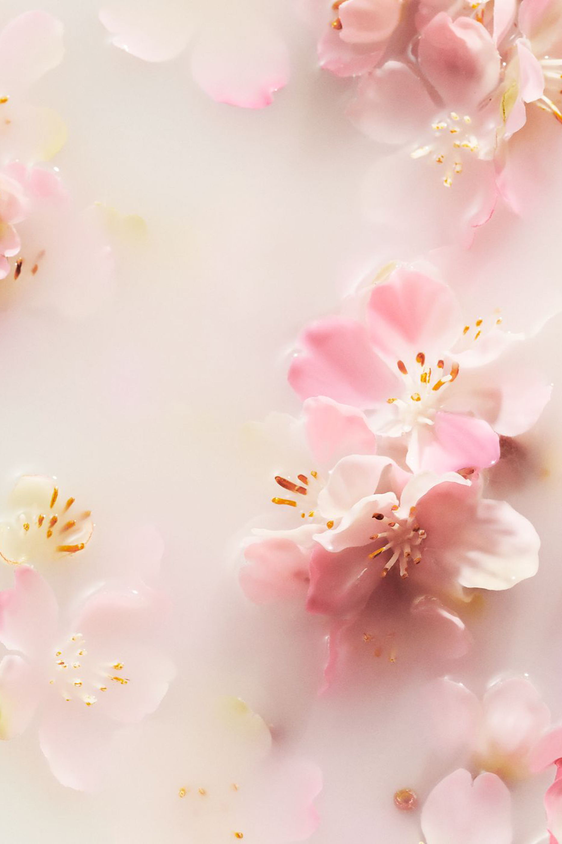 The Ritual of Sakura Foaming Shower Gel