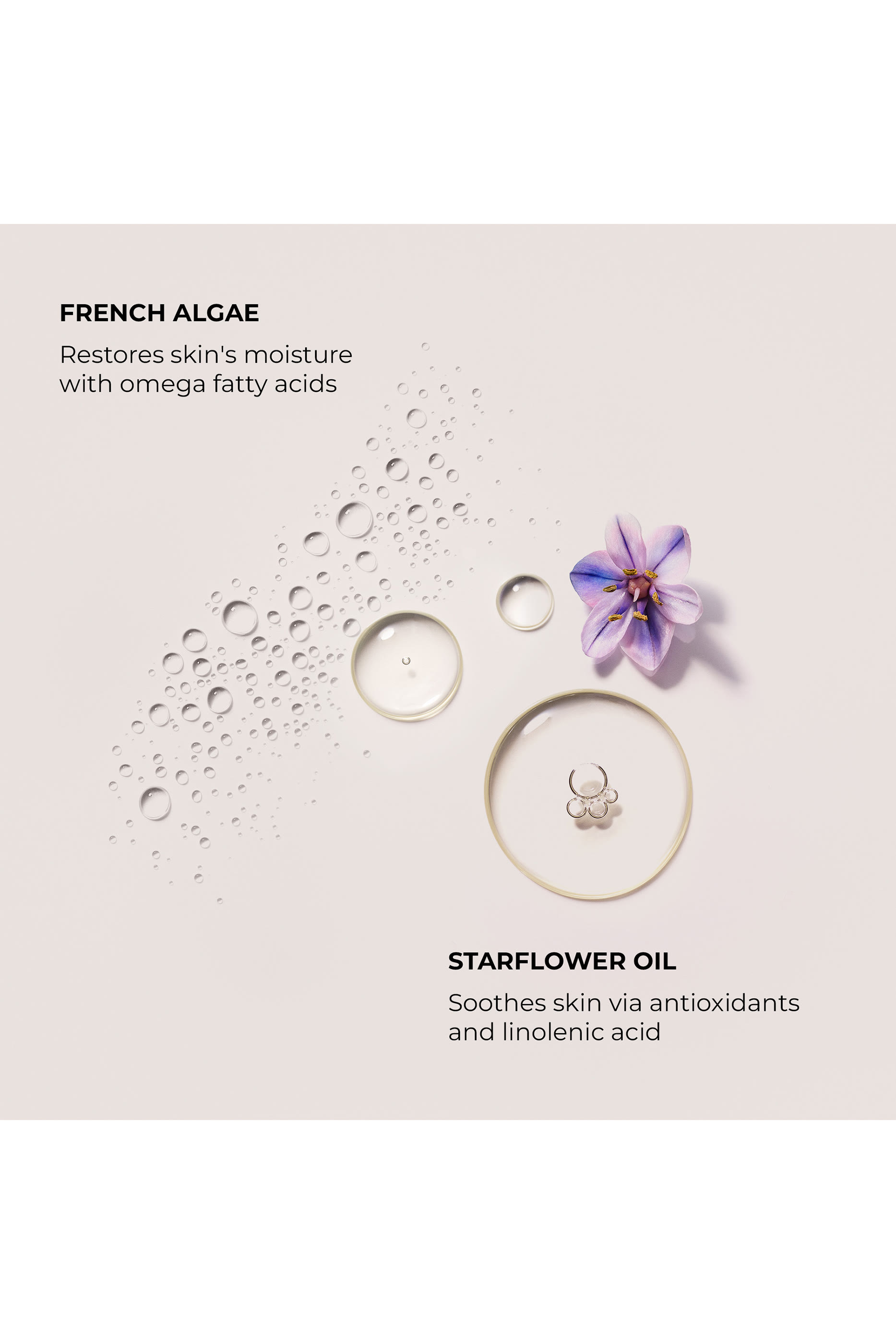 Ambre Vanille Soufflé Hand Cream