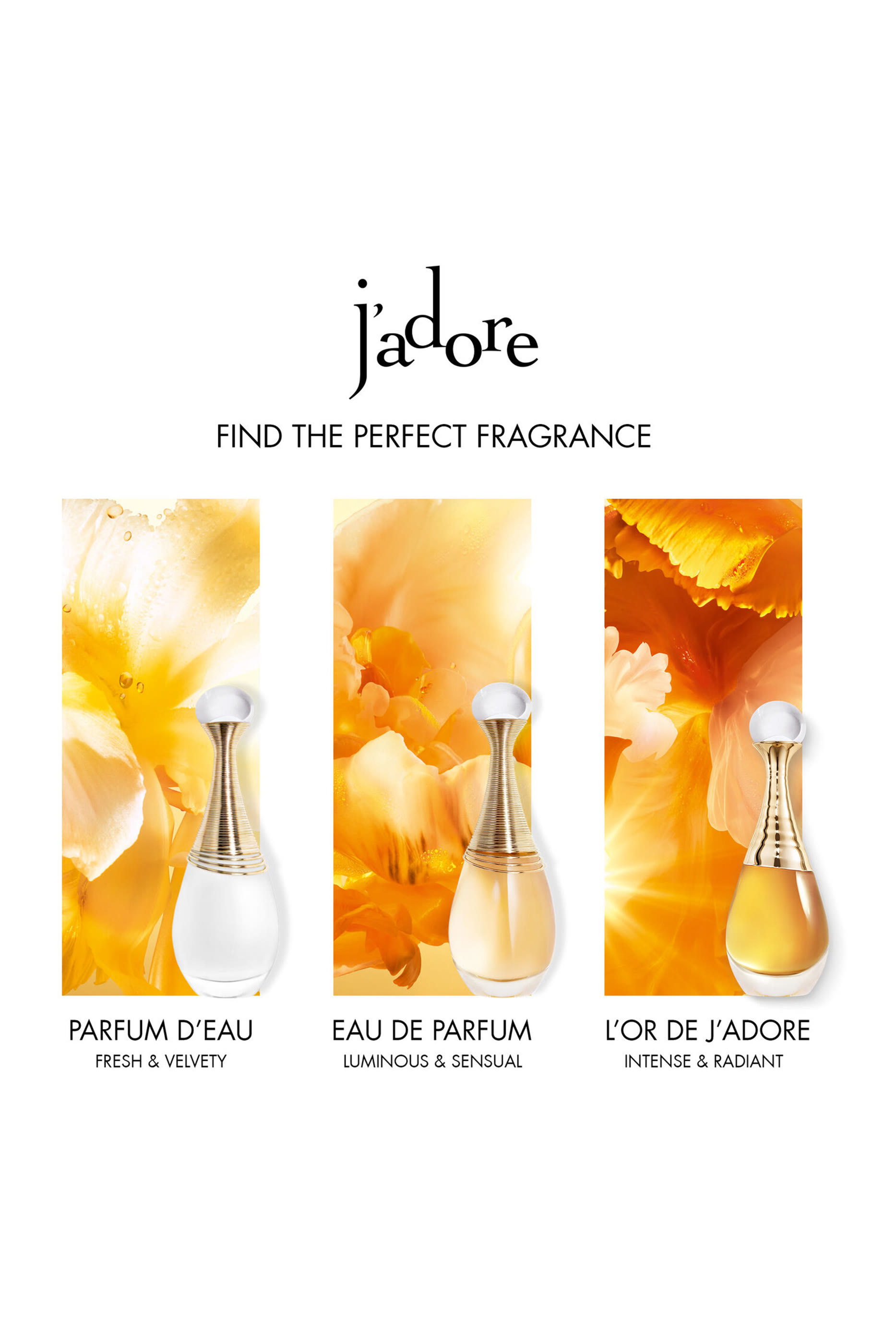 L'Or de J'adore