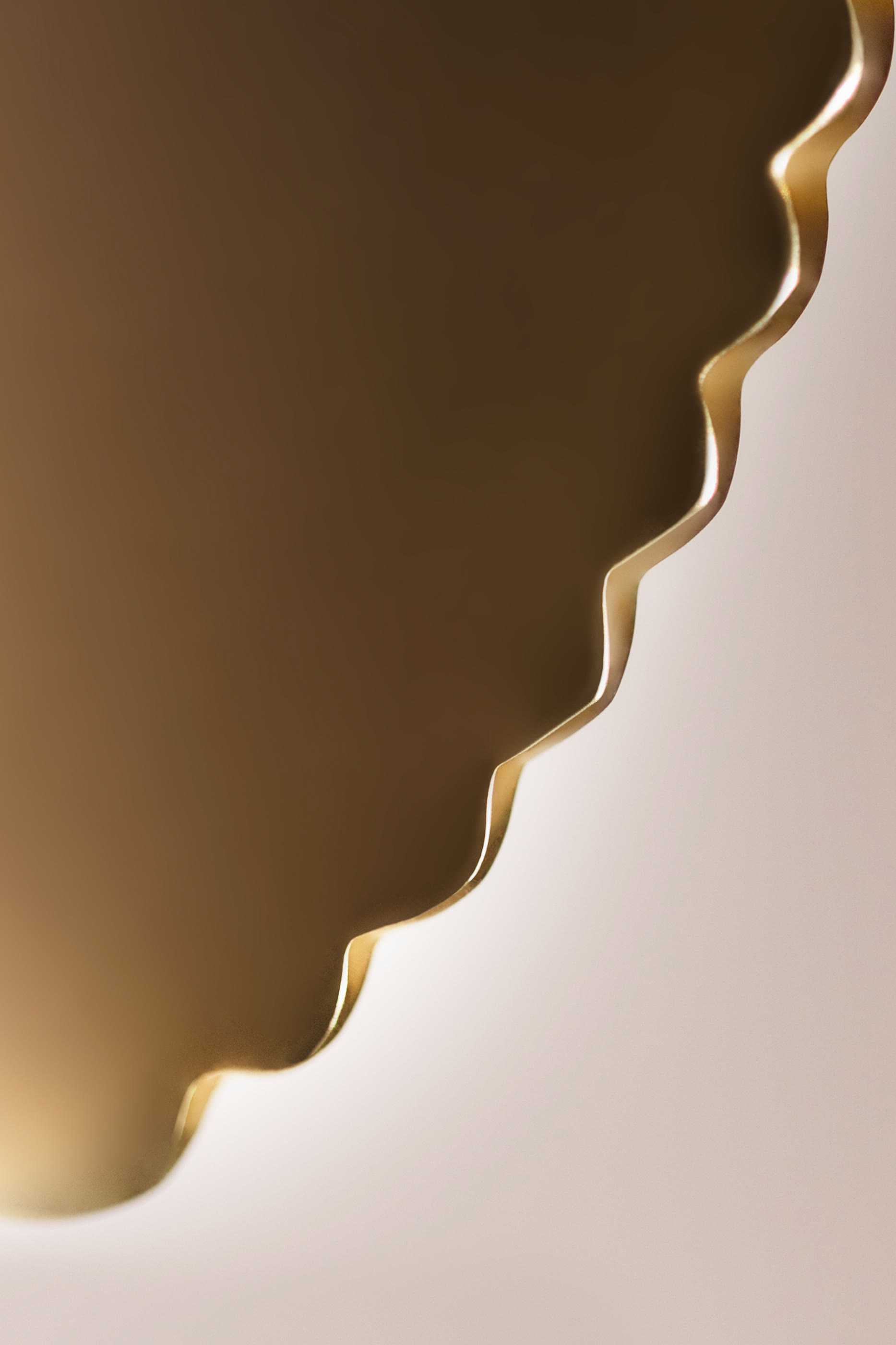 Ginkgo Gua Sha