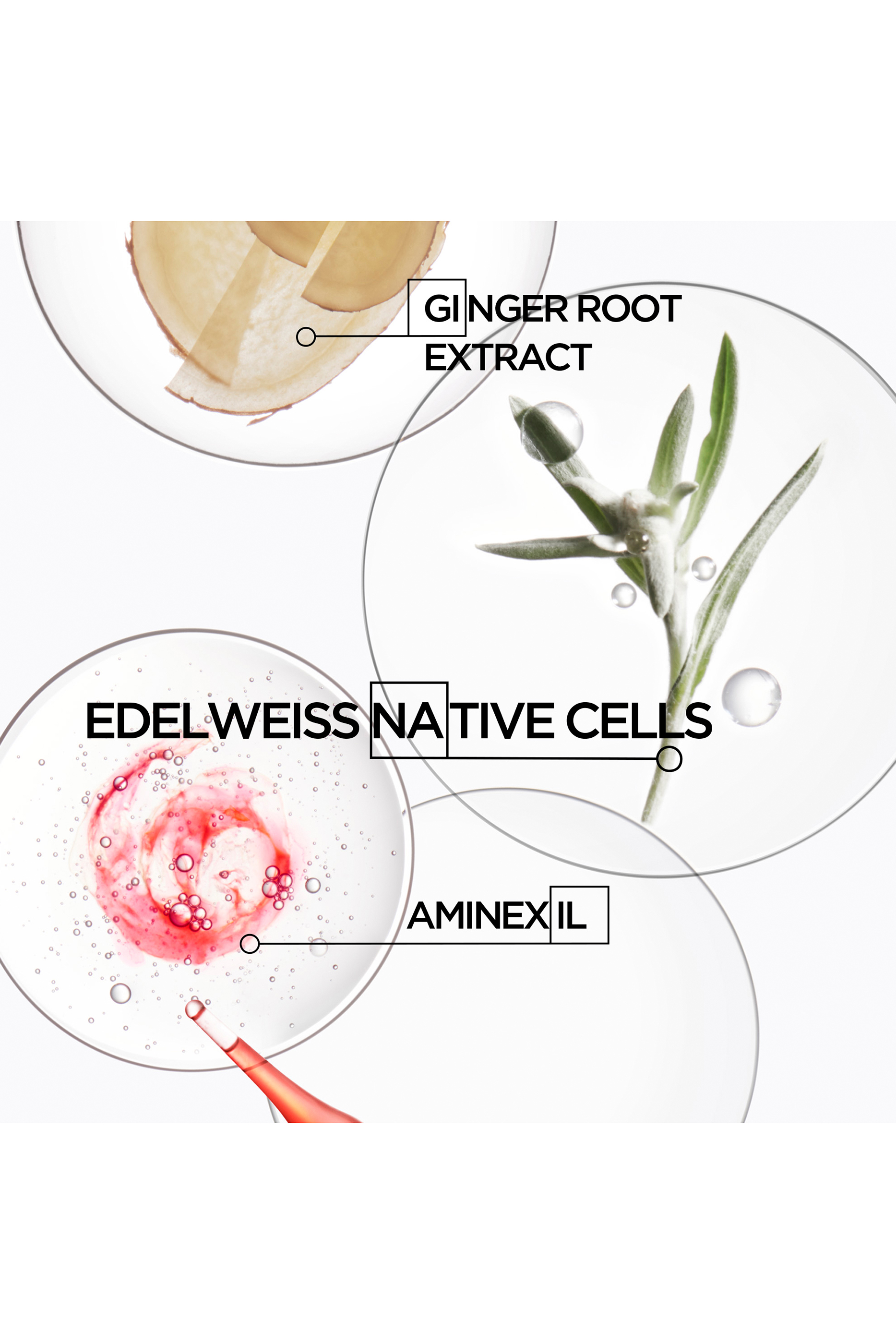 Genesis Scalp Serum