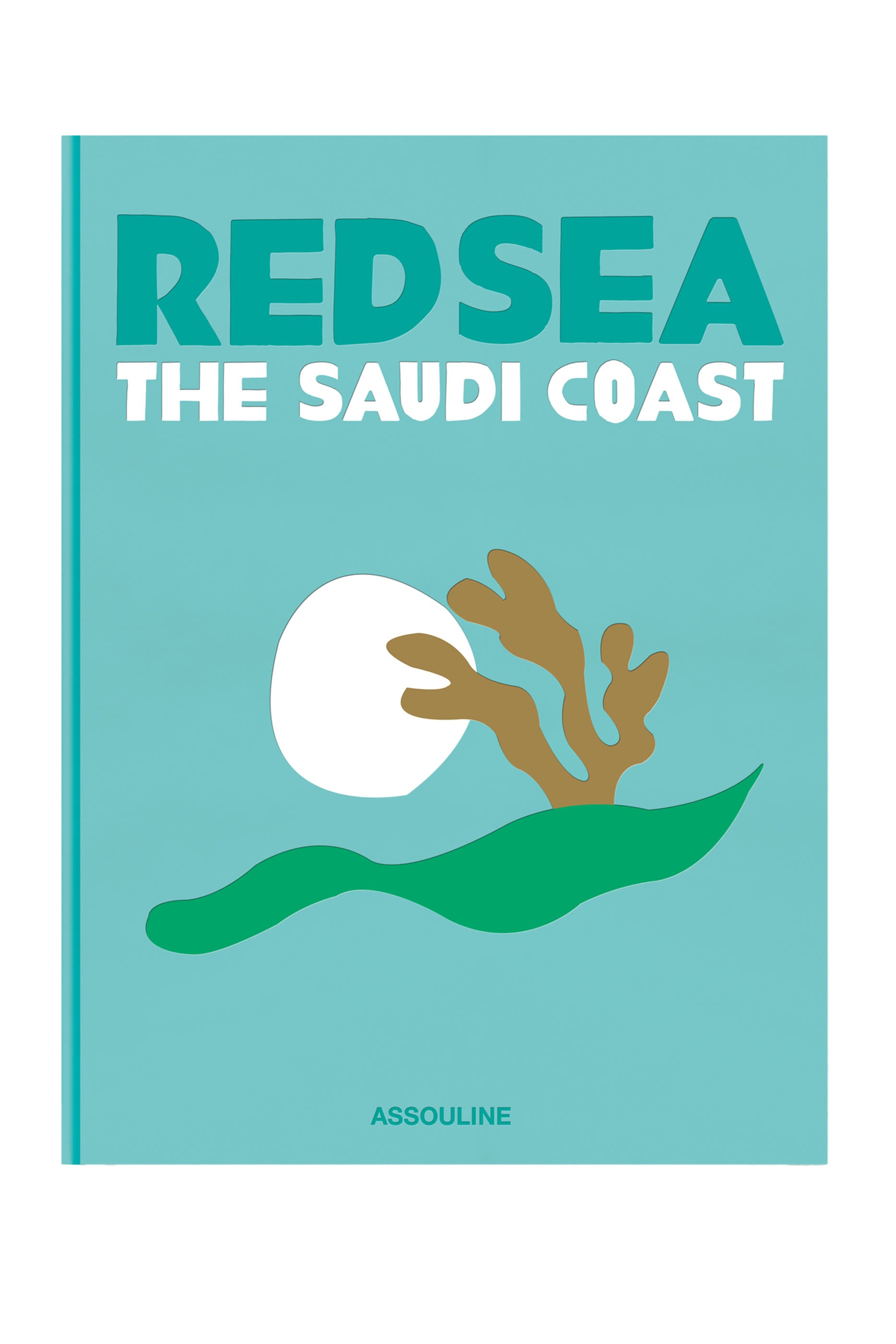 Saudi Arabia: Red Sea, The Saudi Coast