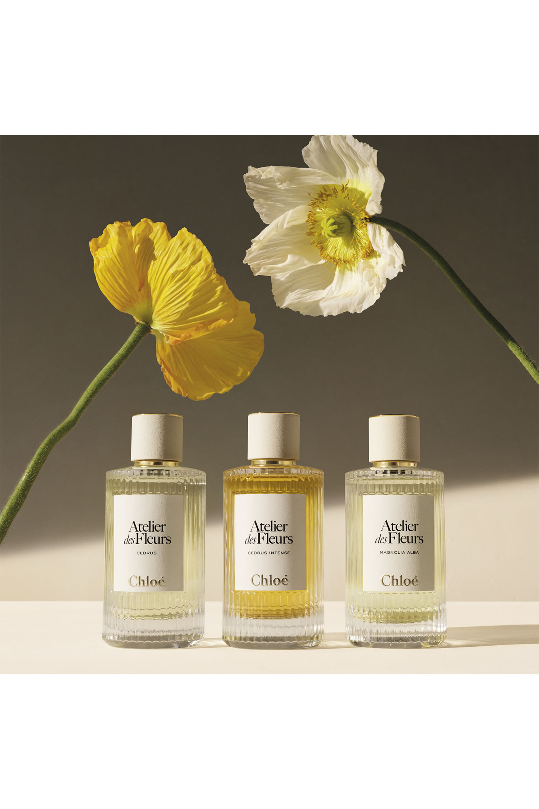 Atelier des Fleurs Papyrus Eau de Parfum