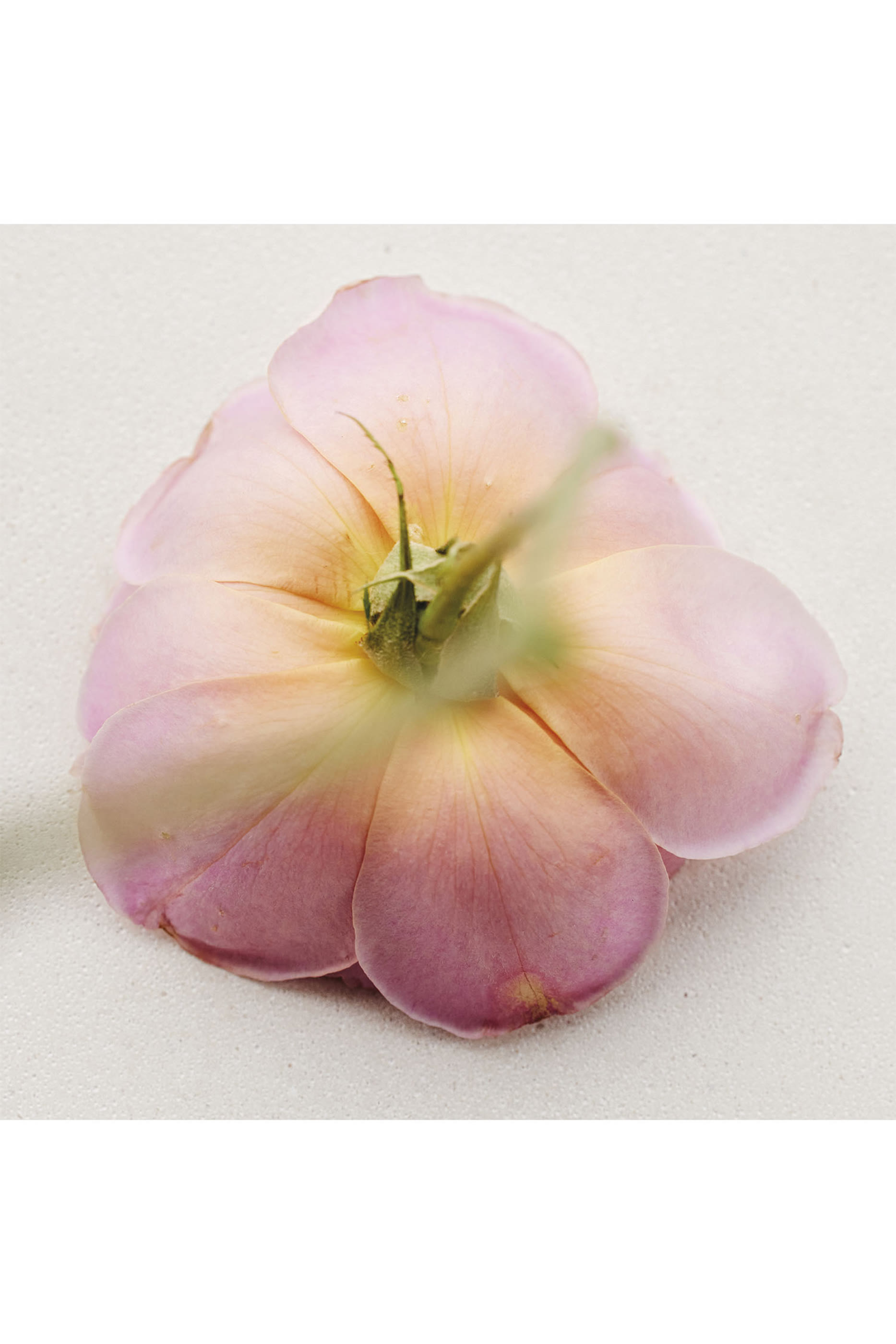 Atelier des Fleurs Rosa Damascena Eau de Parfum