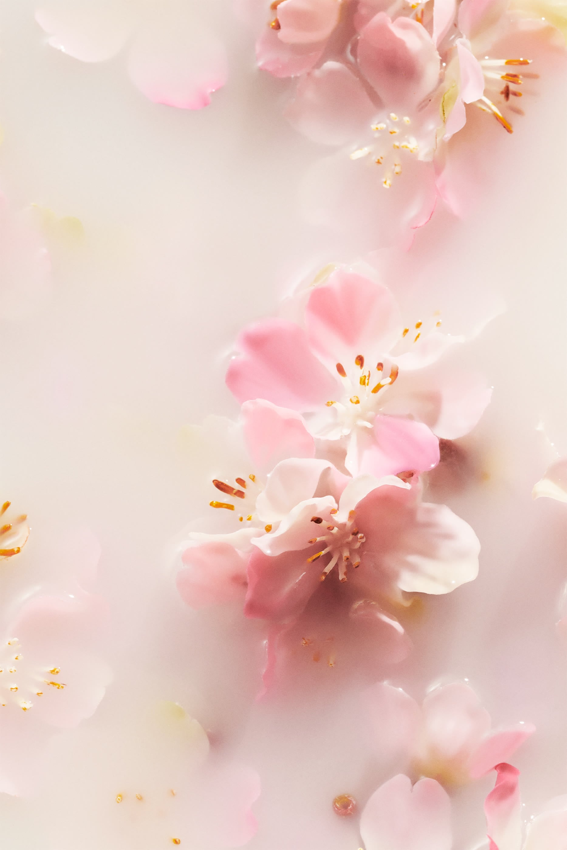 The Ritual of Sakura Parfum d'Interieur