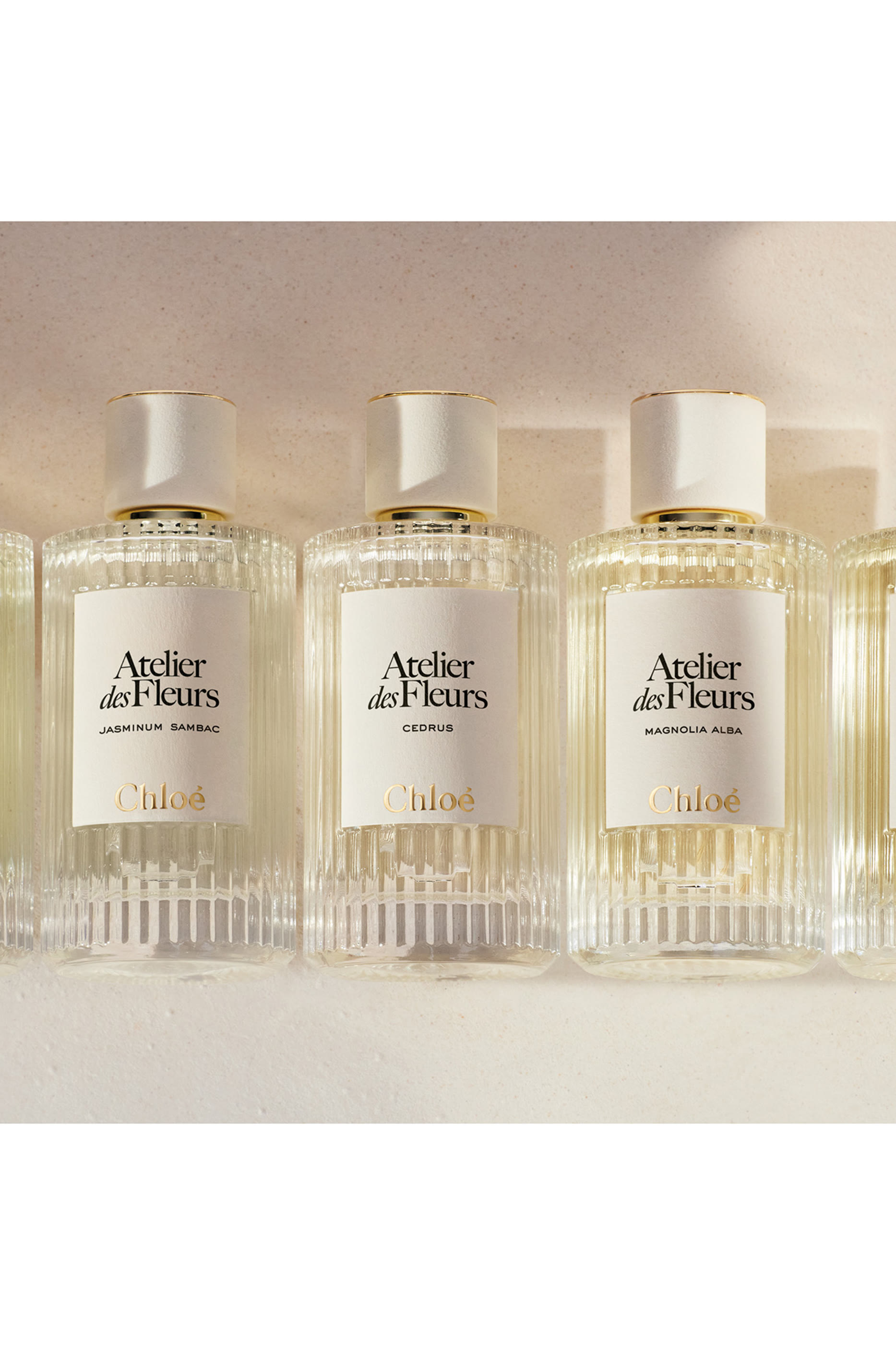 Atelier des Fleurs Magnolia Alba Perfumed Hand Cream