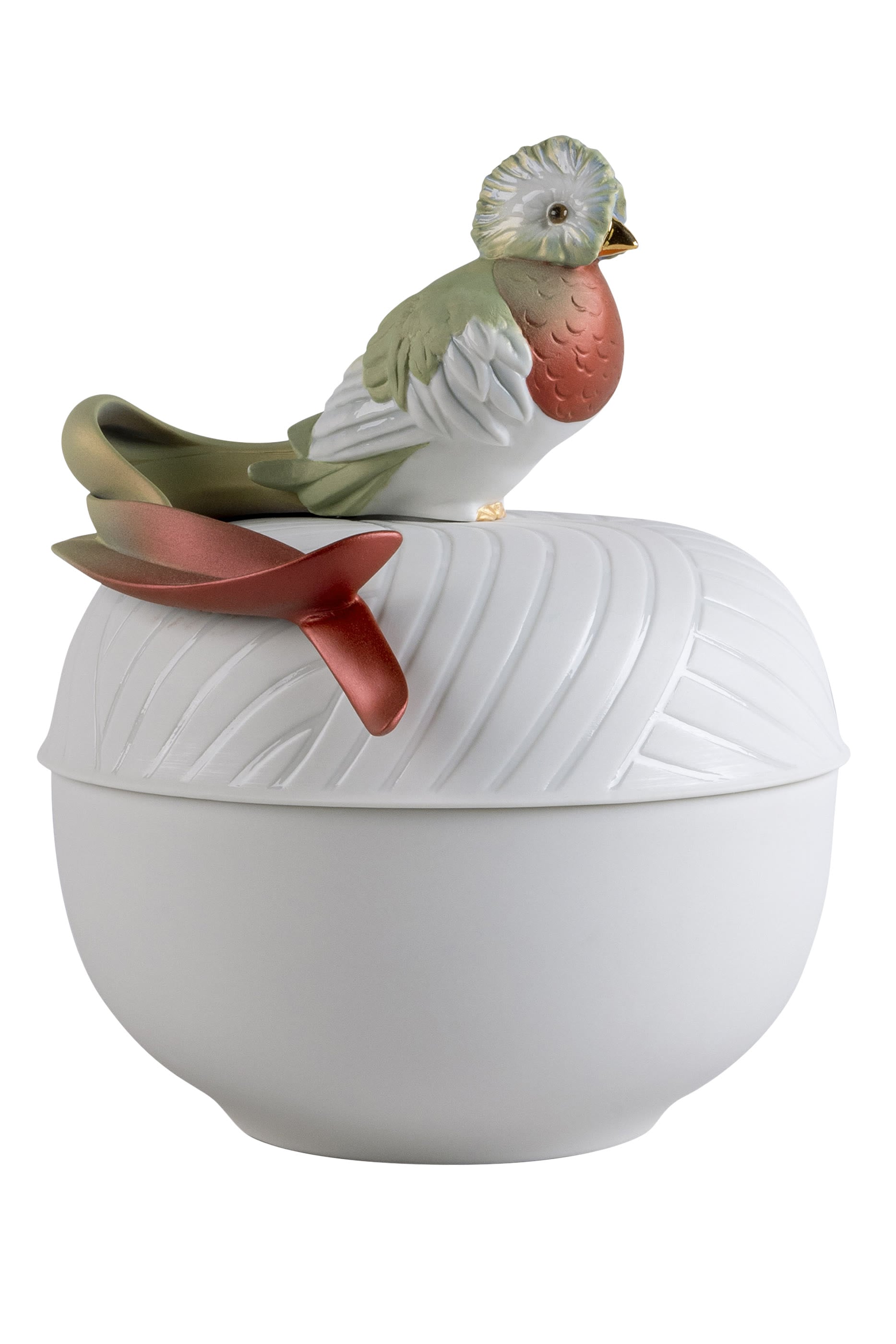 Quetzal box