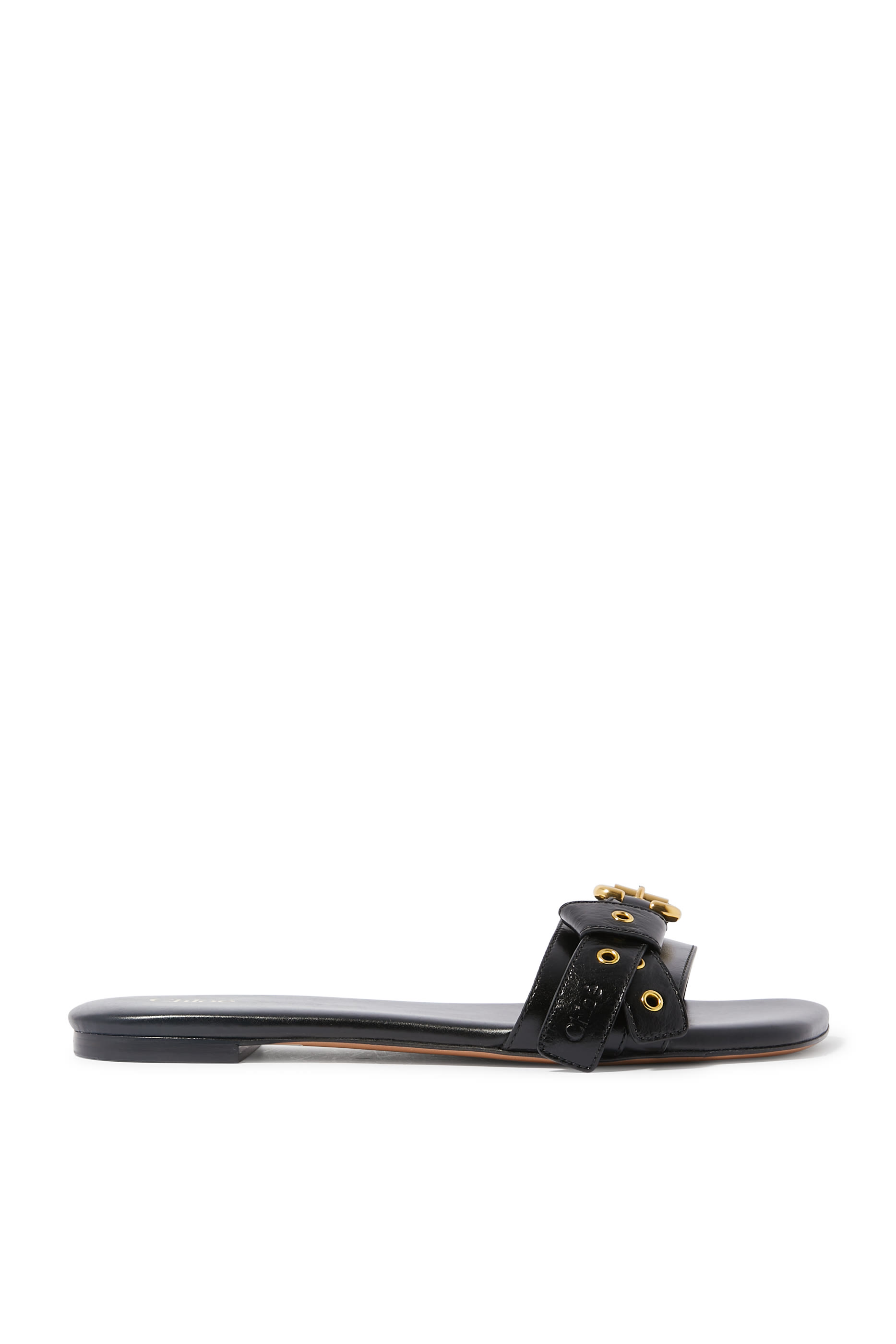 Mae 10 Slides