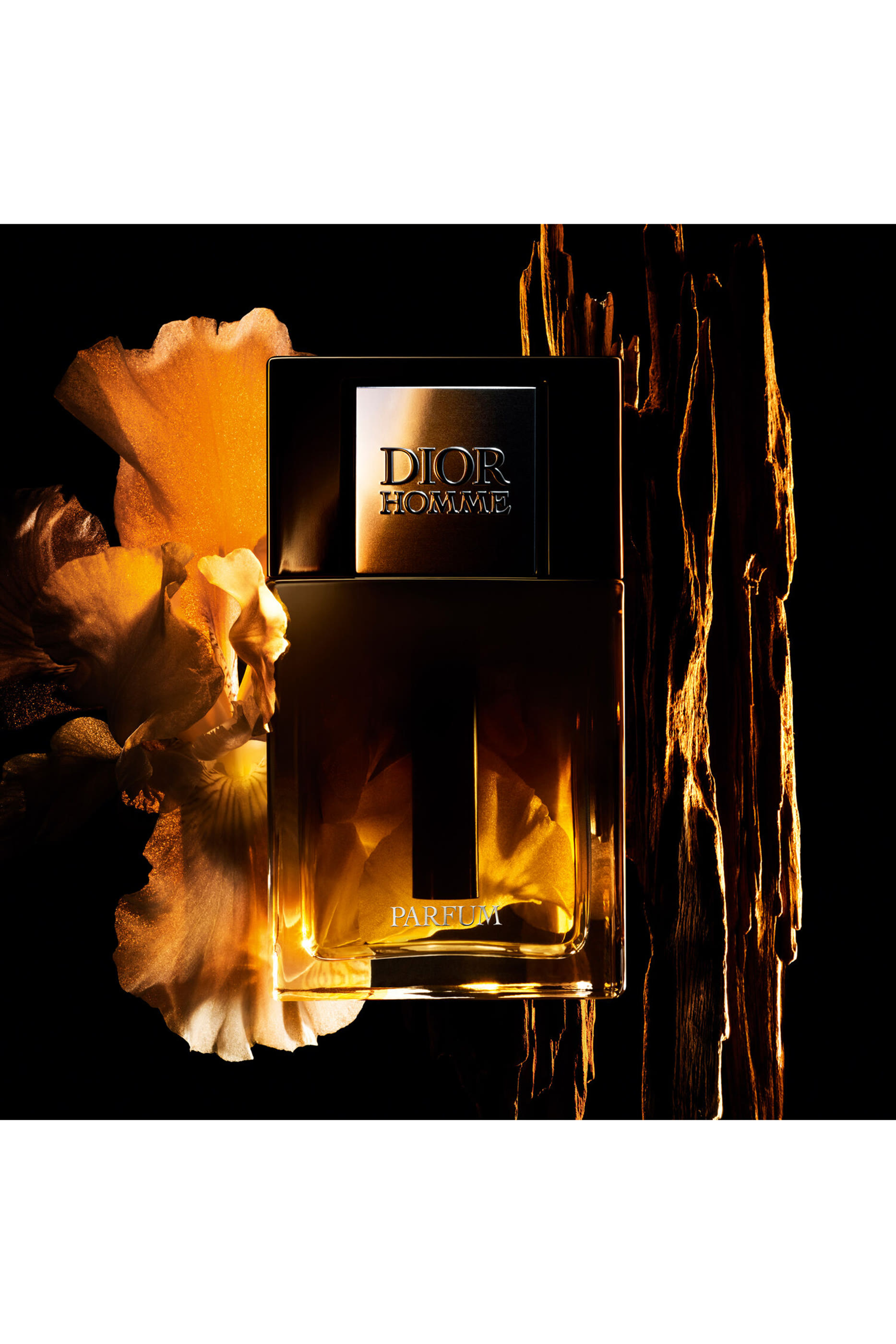 Homme Parfum
