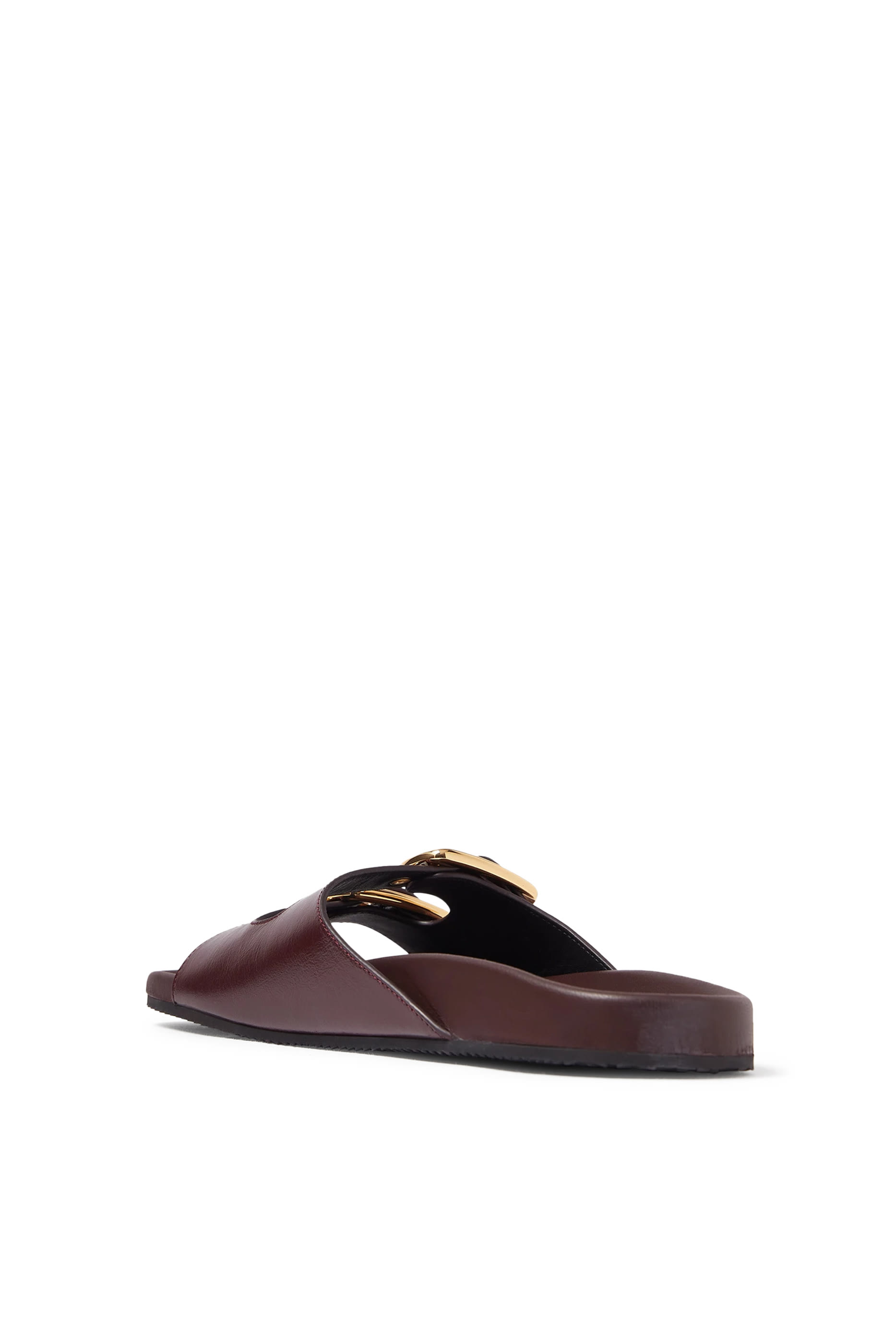 Polly Slides