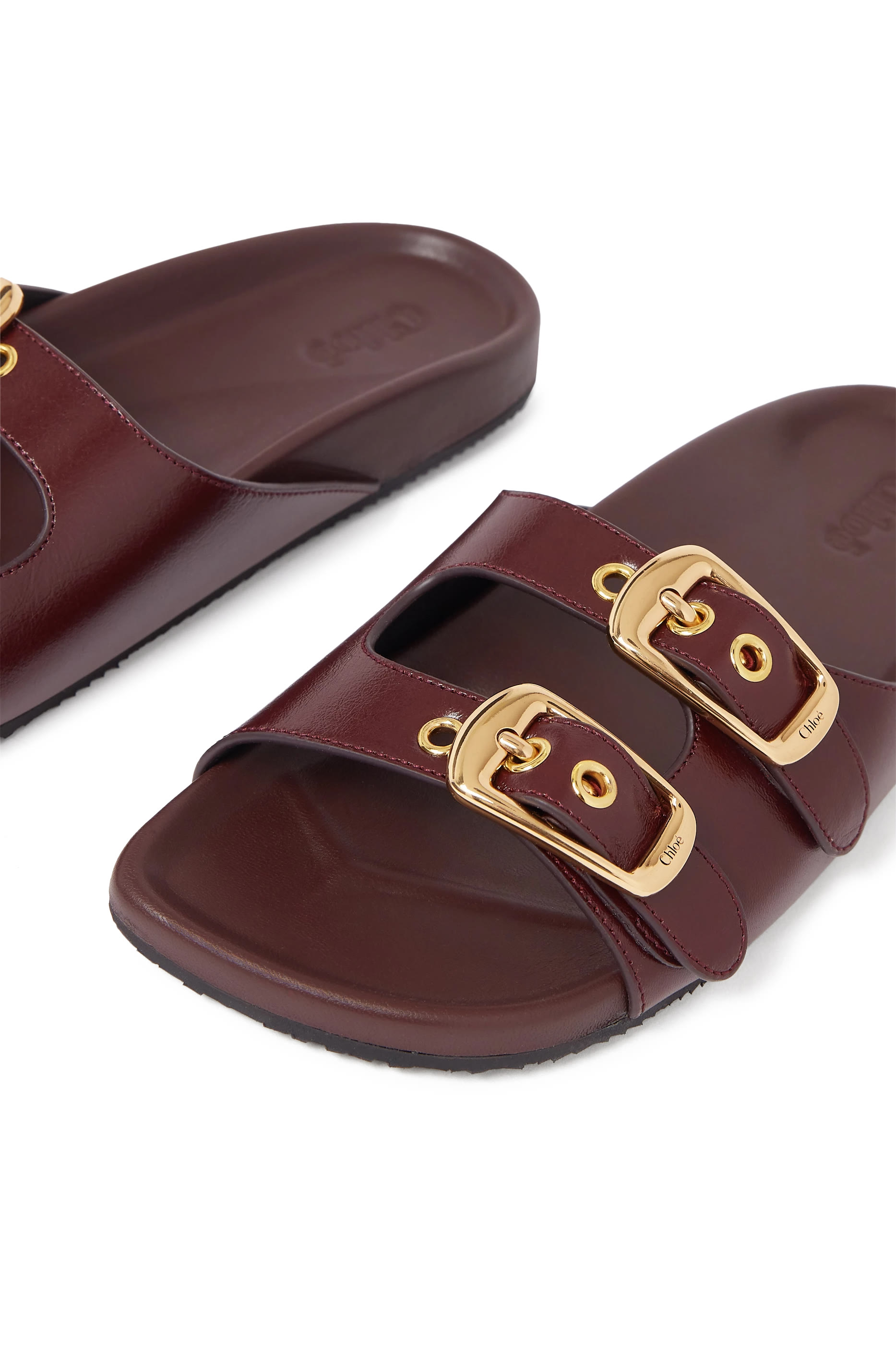 Polly Slides