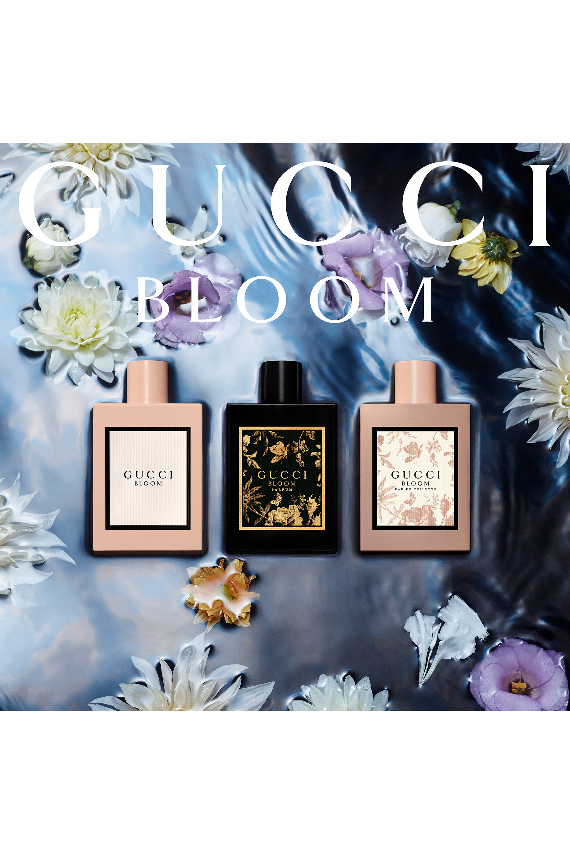 عطر بلوم