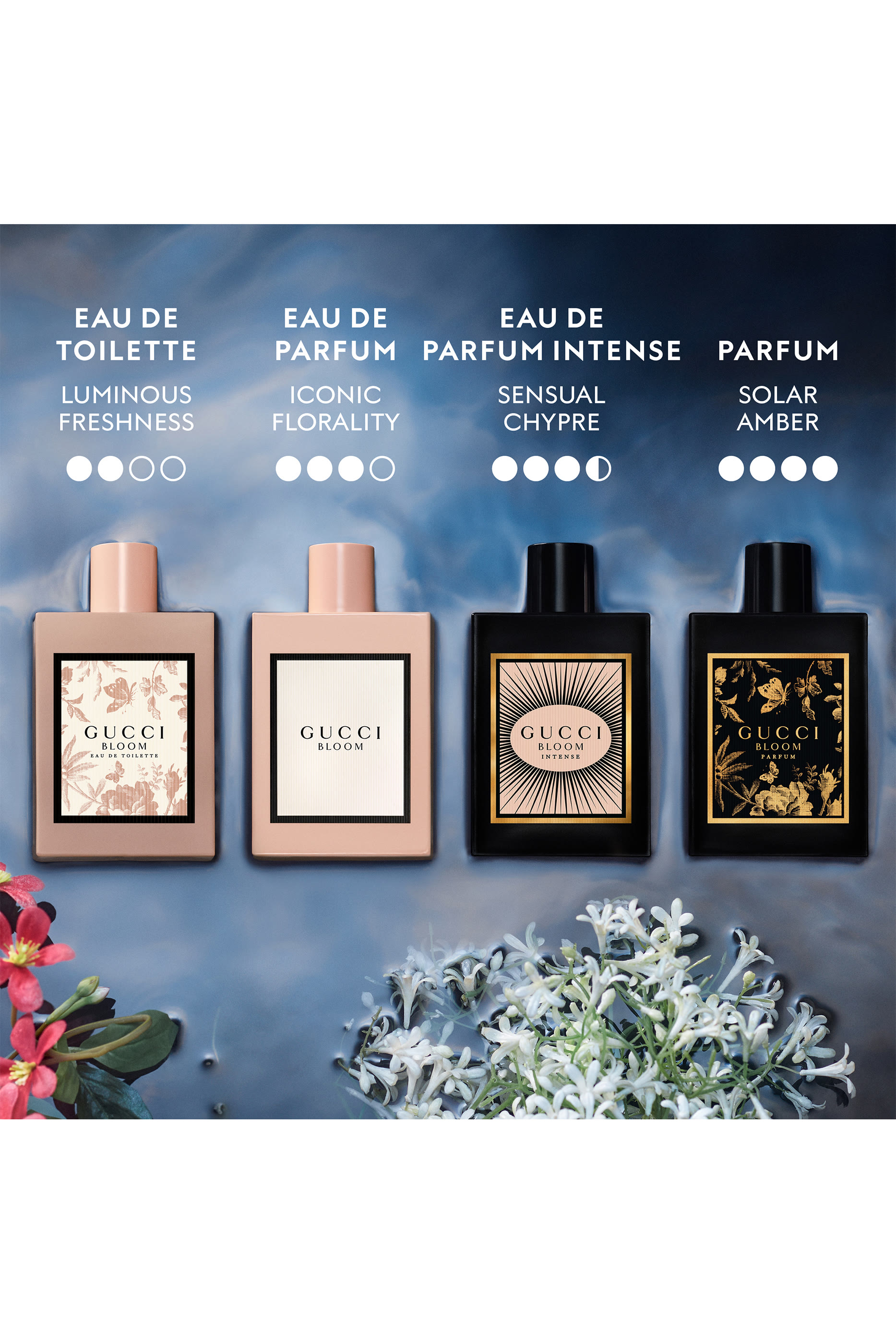 عطر بلوم