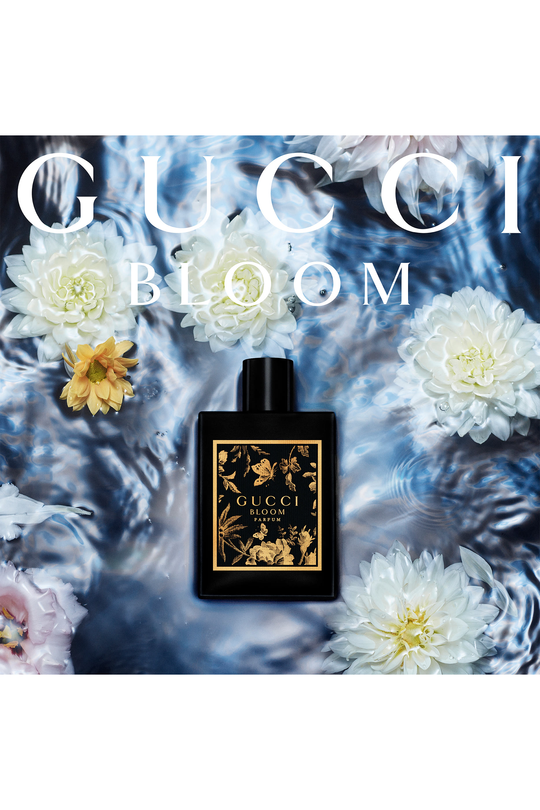 عطر بلوم