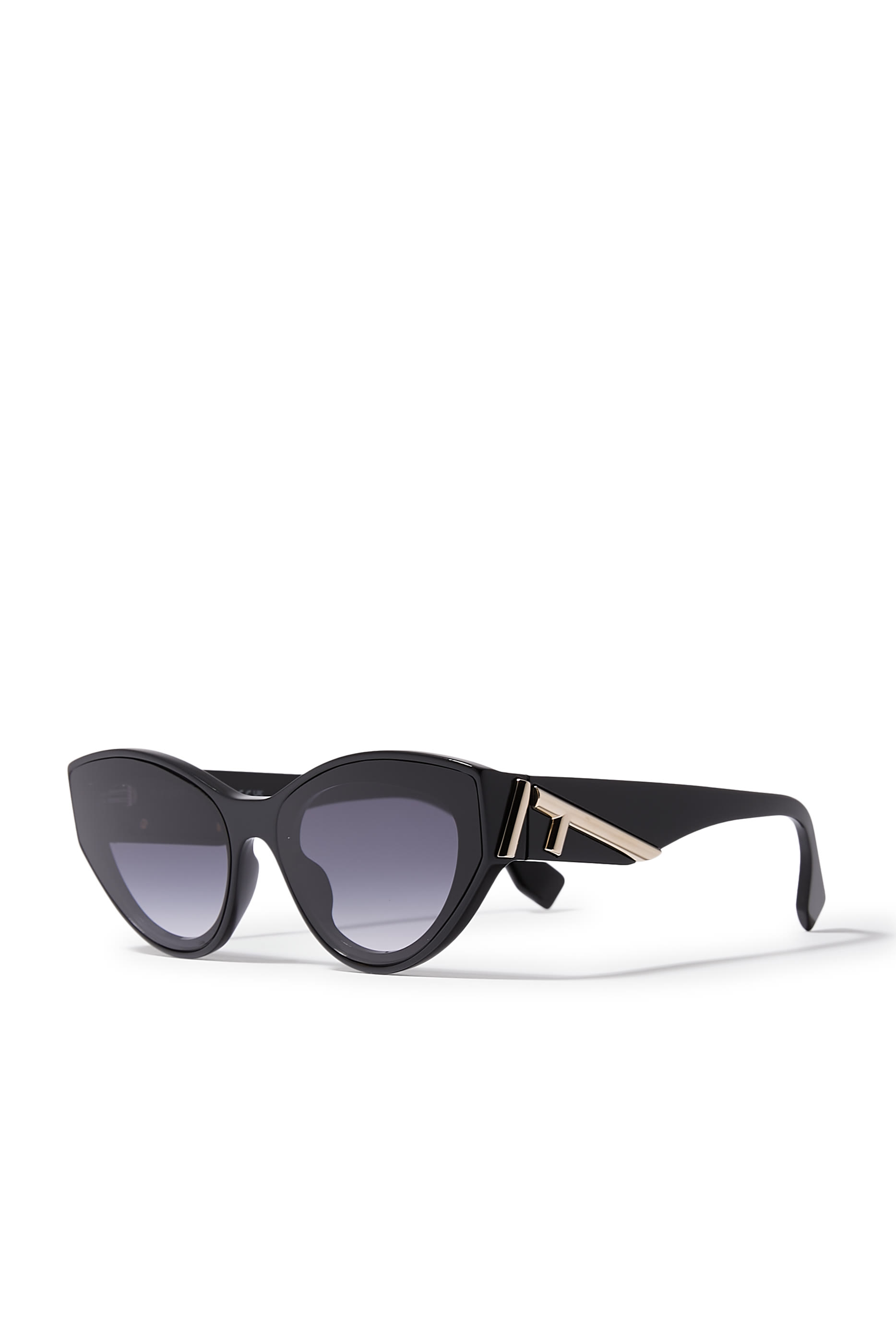  First Cat-Eye Acetate Sunglasses