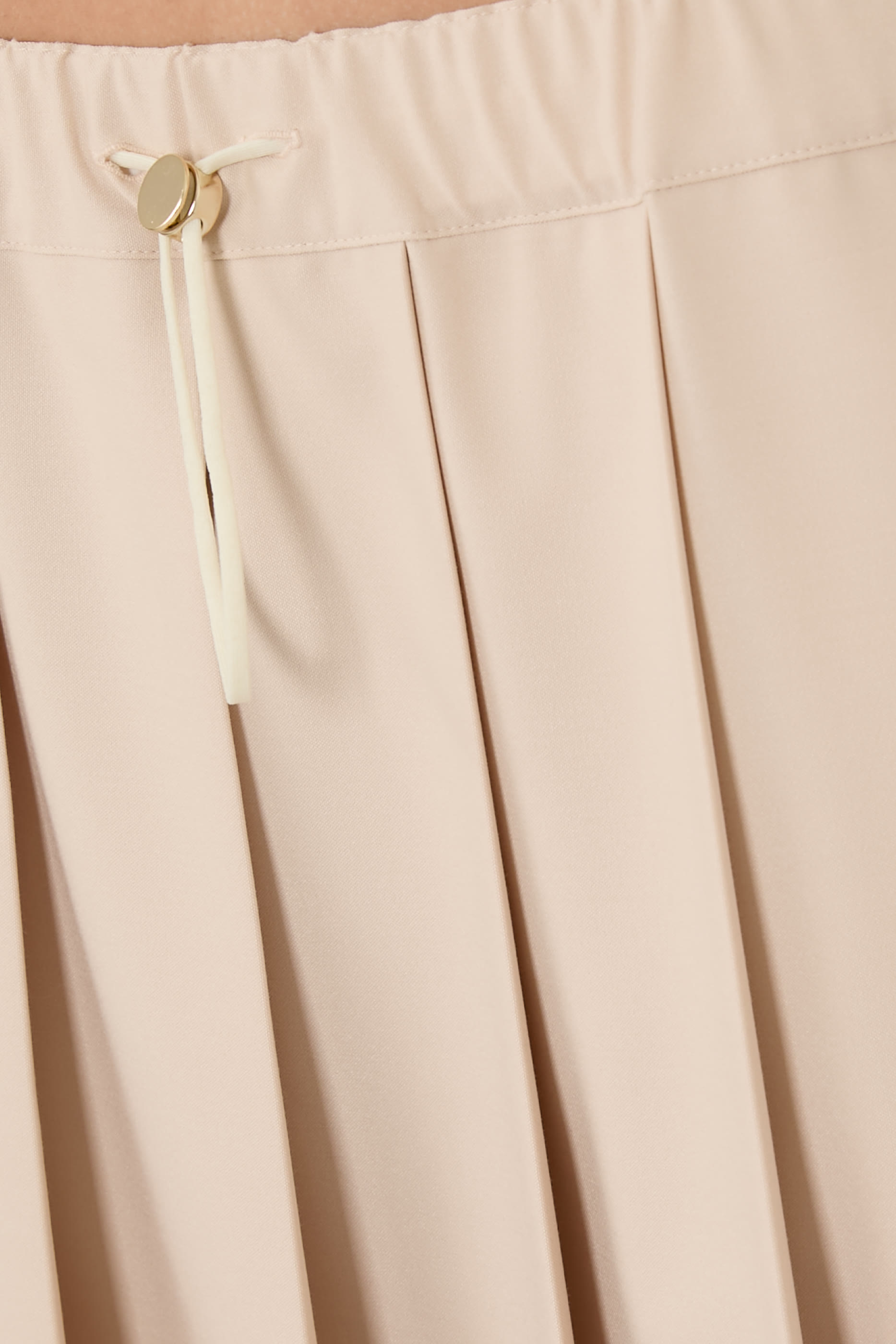 Pleated Skirt