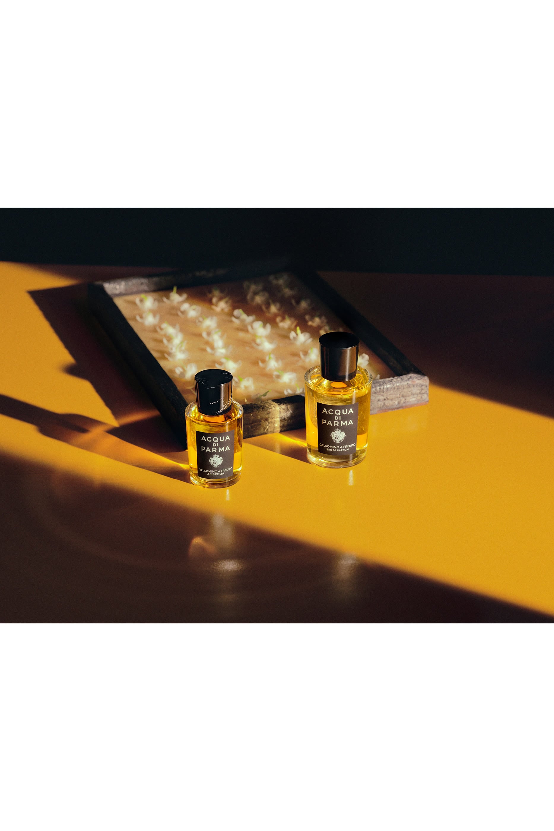 Gelsomino A Freddo Eau de Parfum