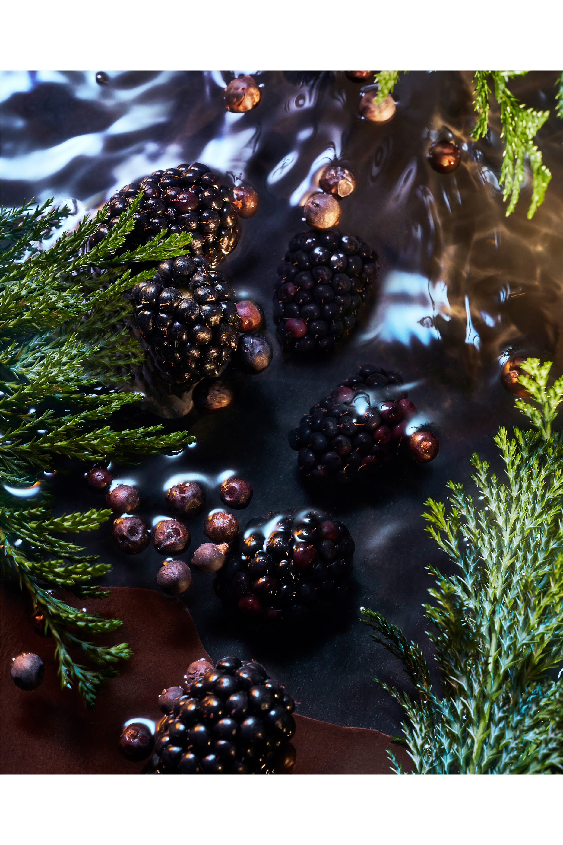 Elysium Noir Eau de Parfum