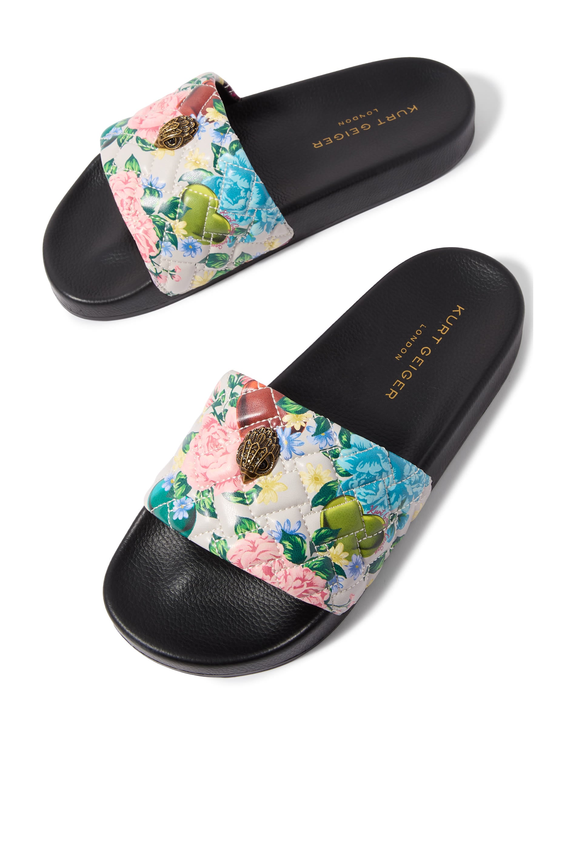 Meena Eagle Slides
