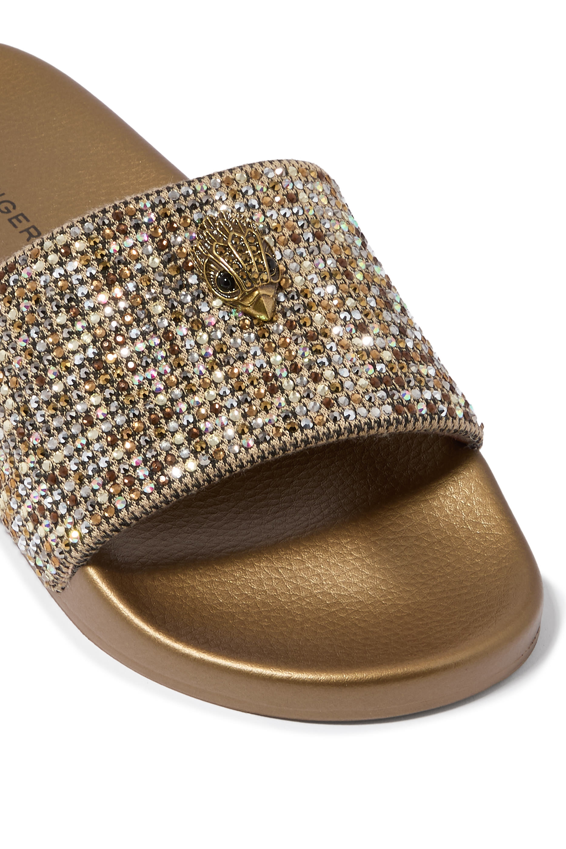 Meena Eagle Slides