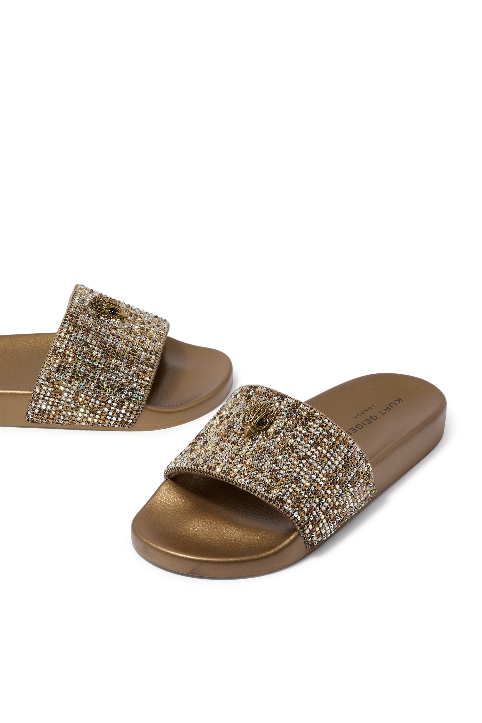 Meena Eagle Slides