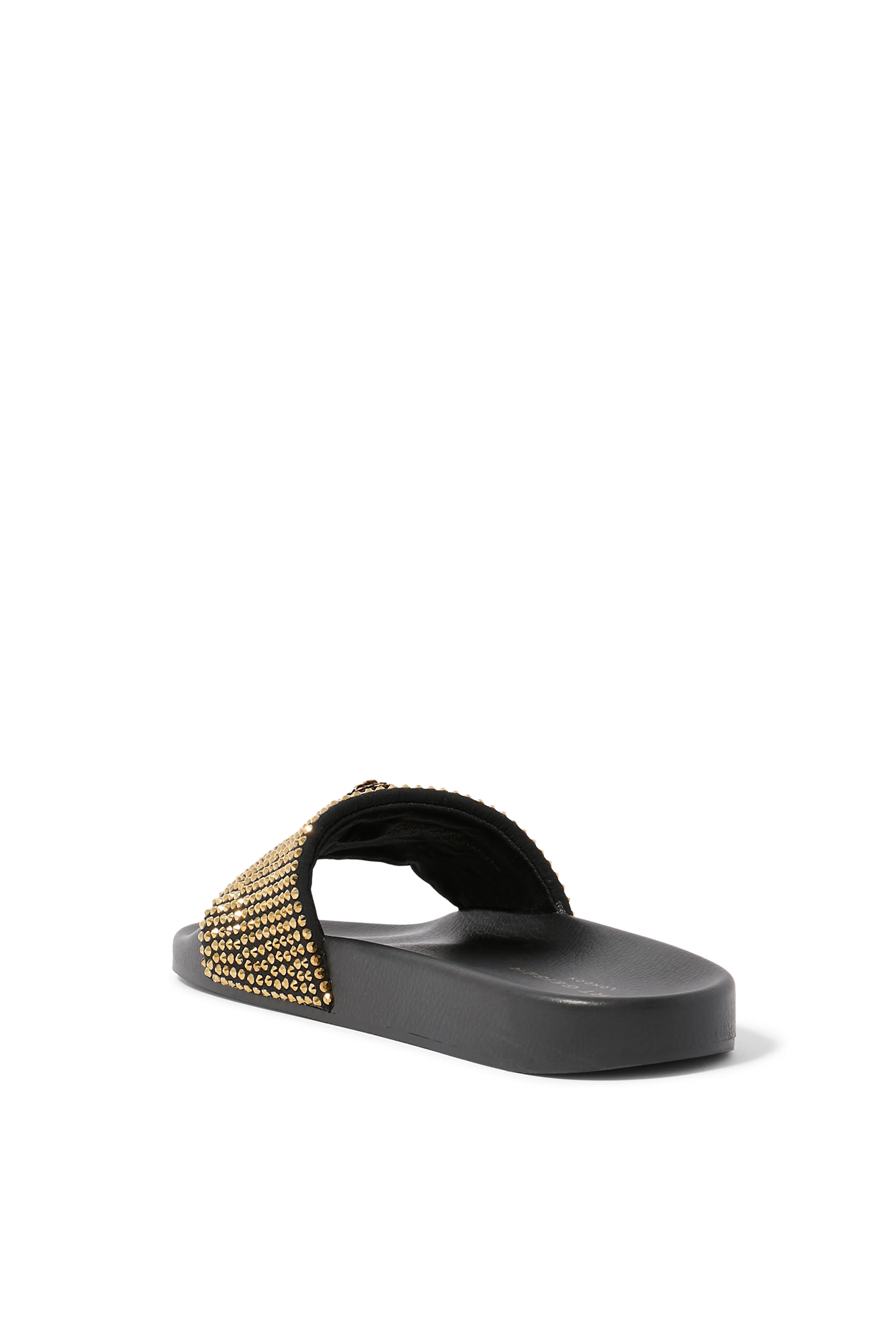Meena Eagle Slide