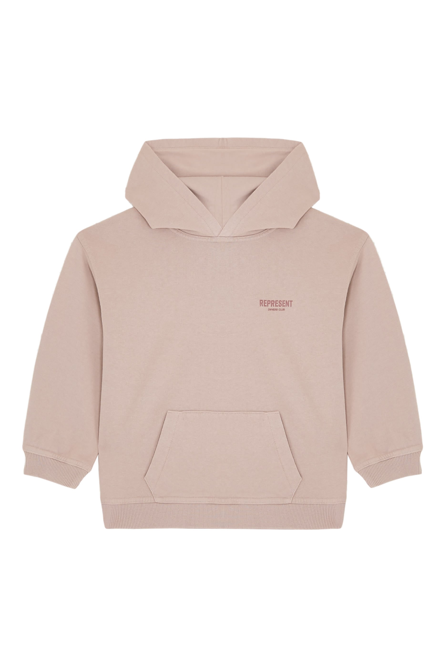 Kids Mini Owners Club Hoodie