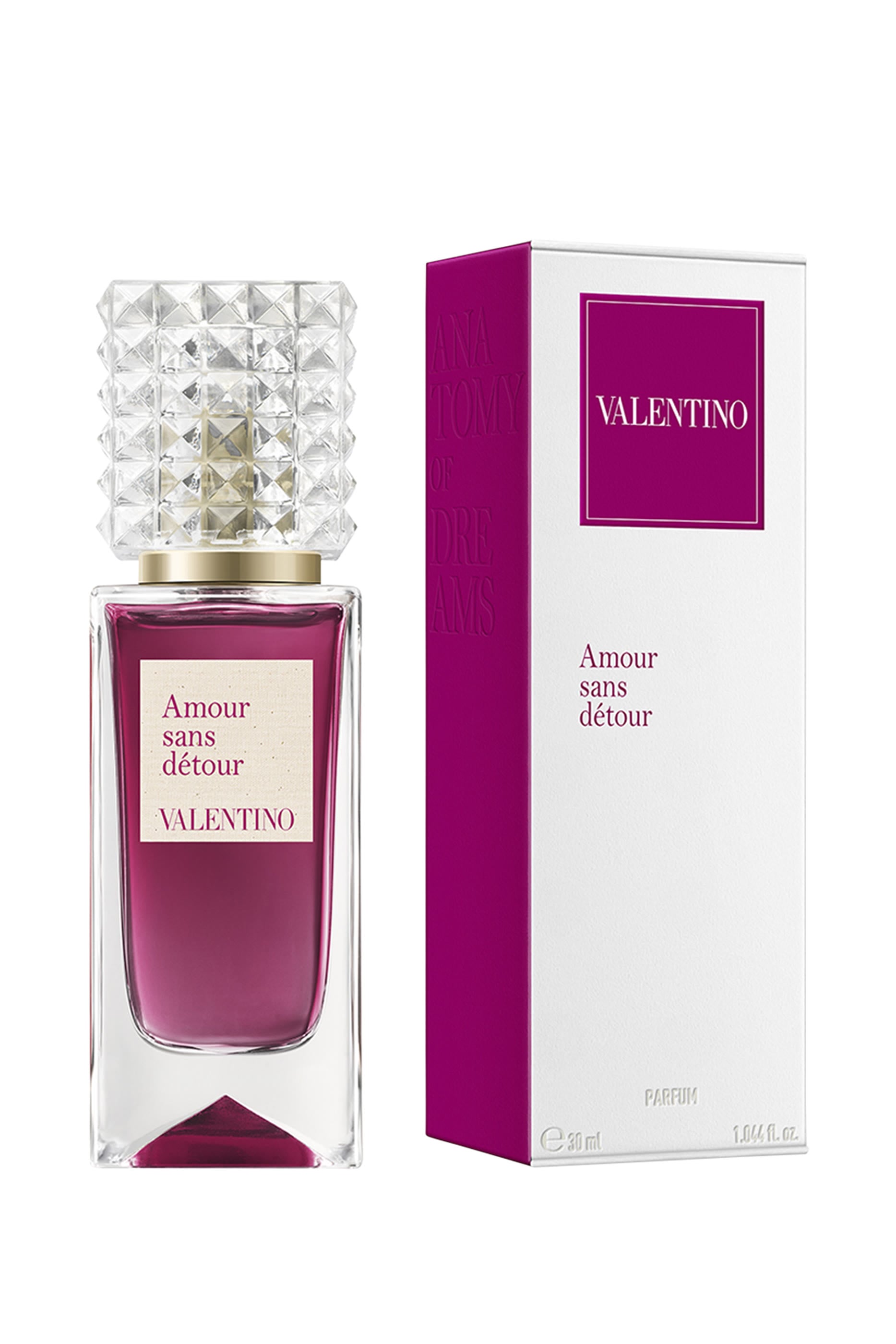 Anatomy of Dreams – Amour Sans Détour 