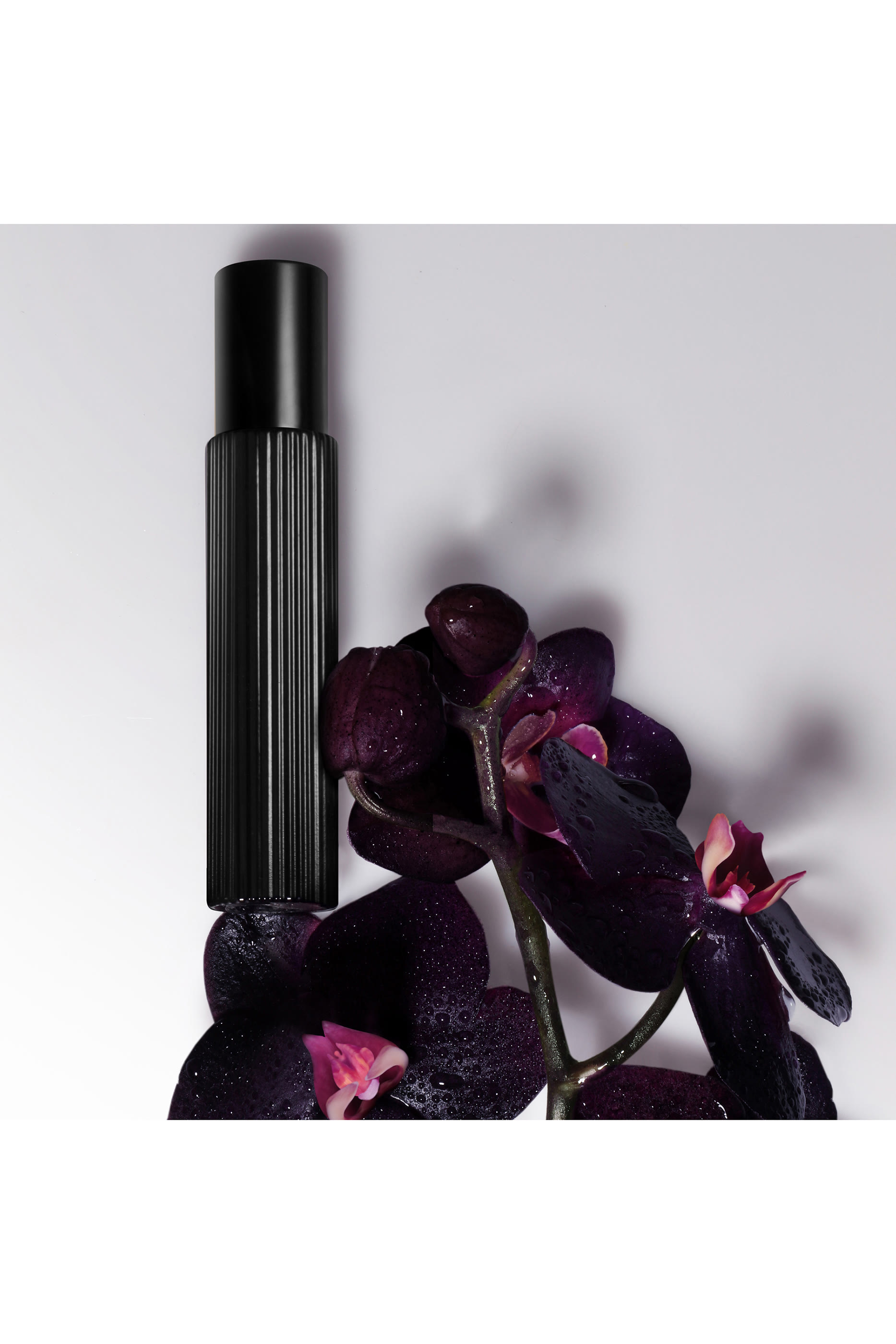 Black Orchid Eau de Parfum Set, 21% Value Savings 