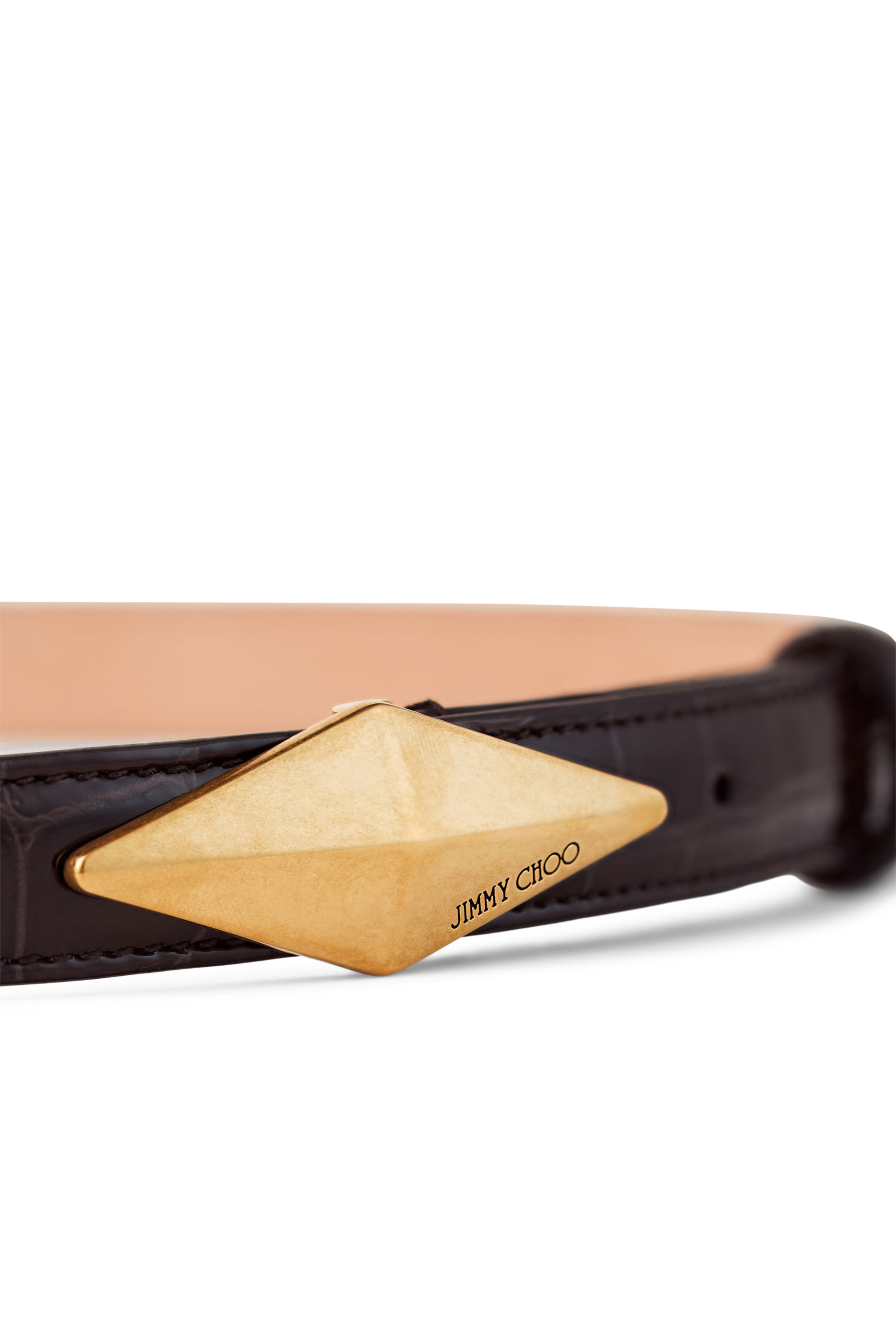 Diamond Clasp Belt