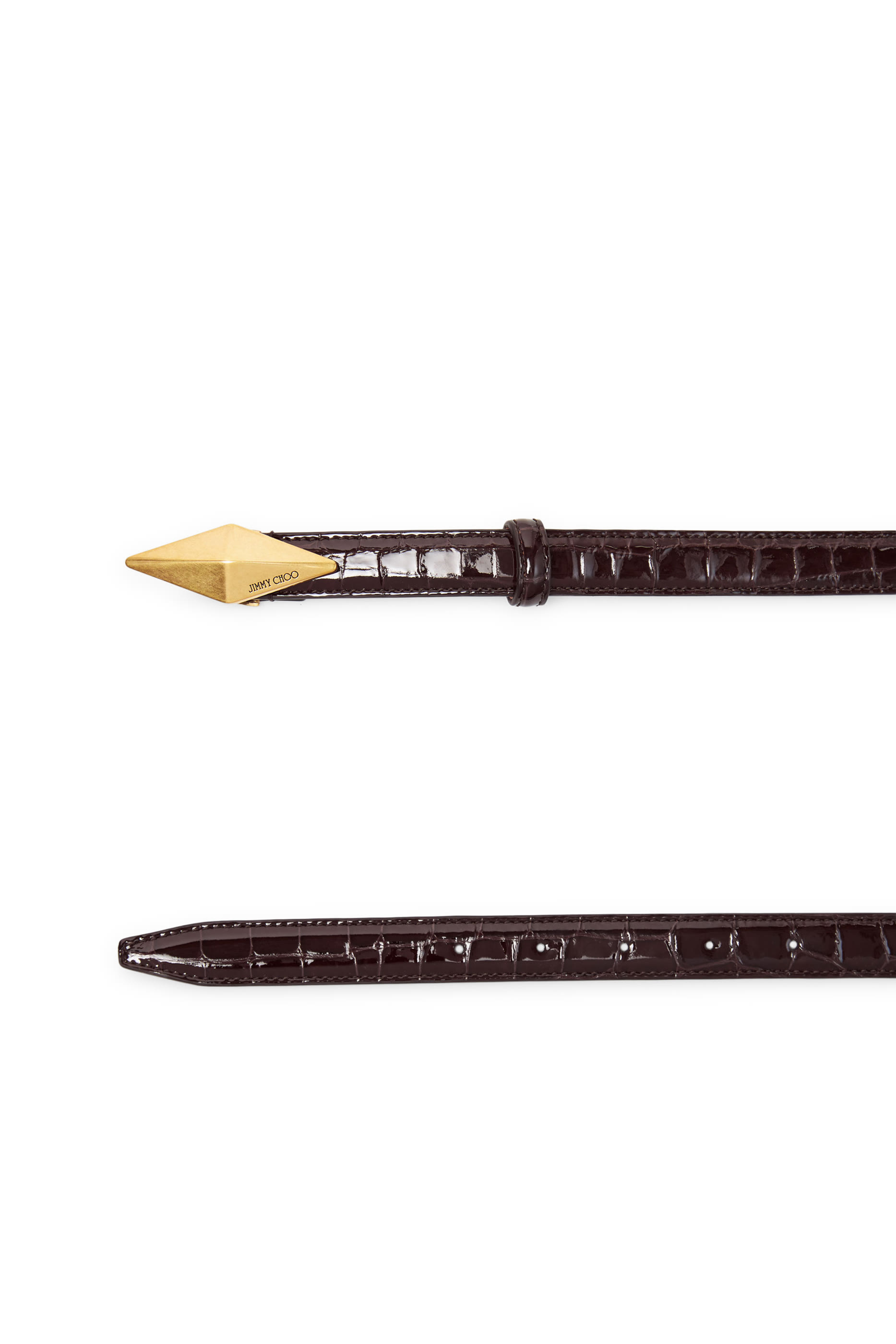 Diamond Clasp Belt