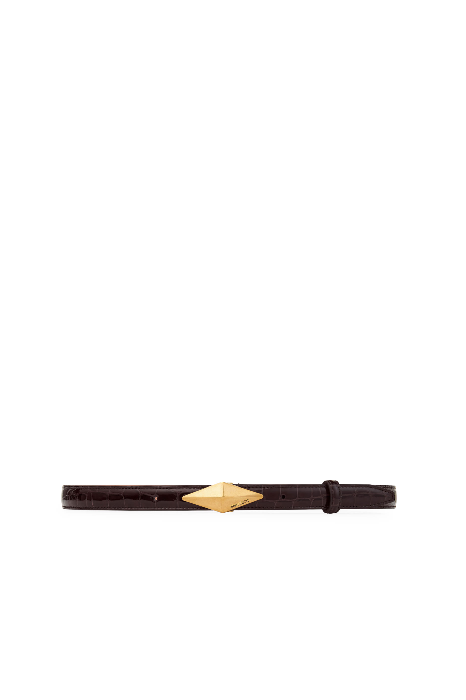 Diamond Clasp Belt