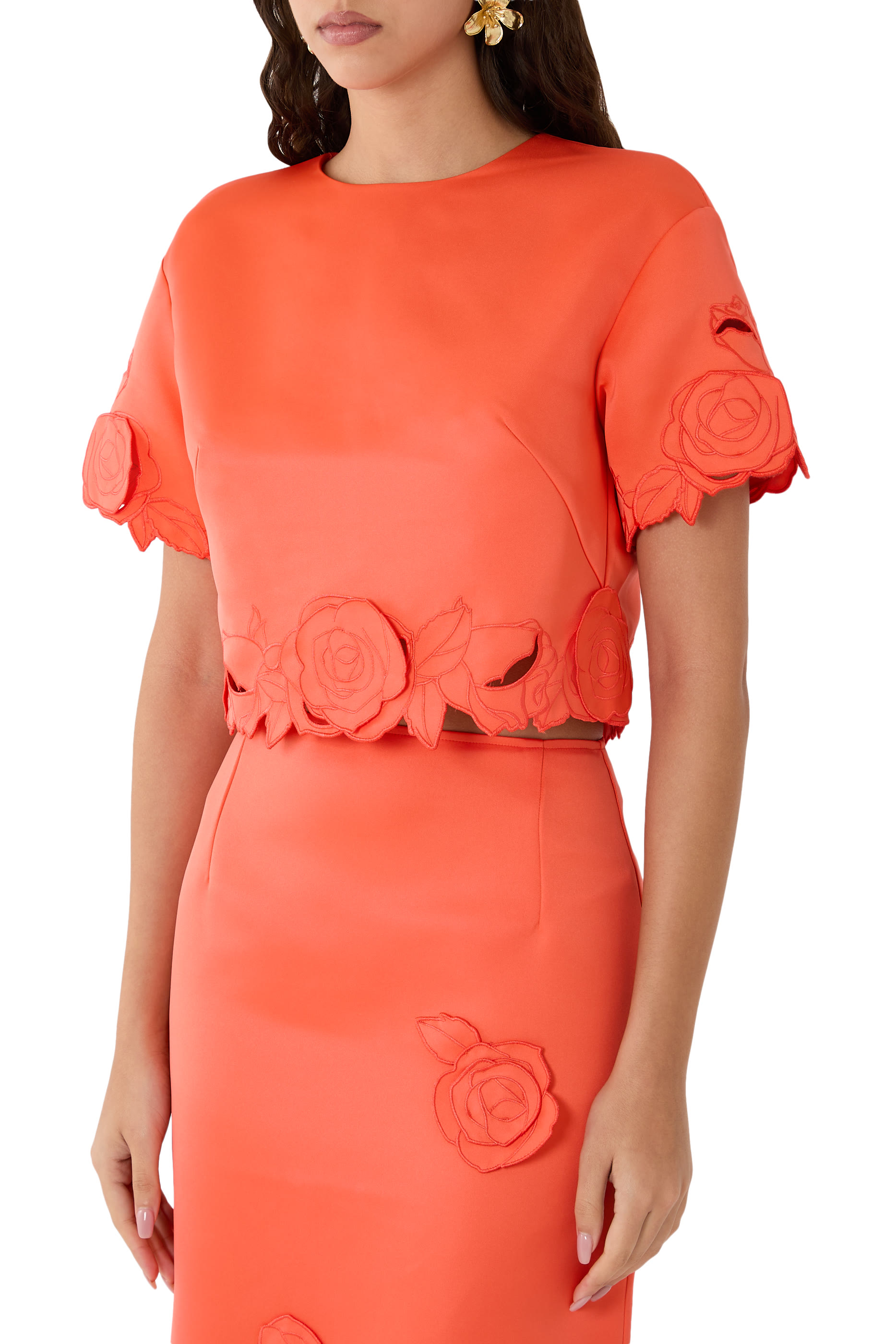 Indie Sleeves Top