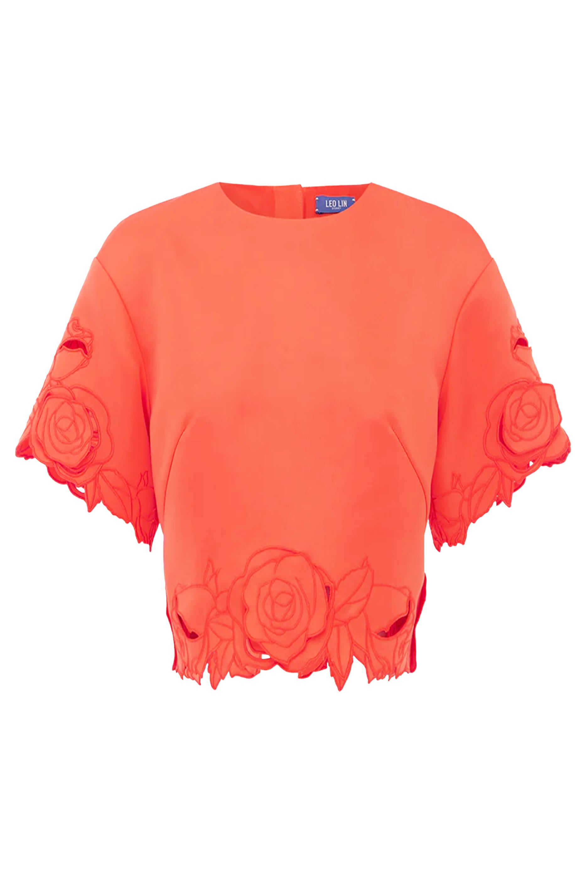 Indie Sleeves Top