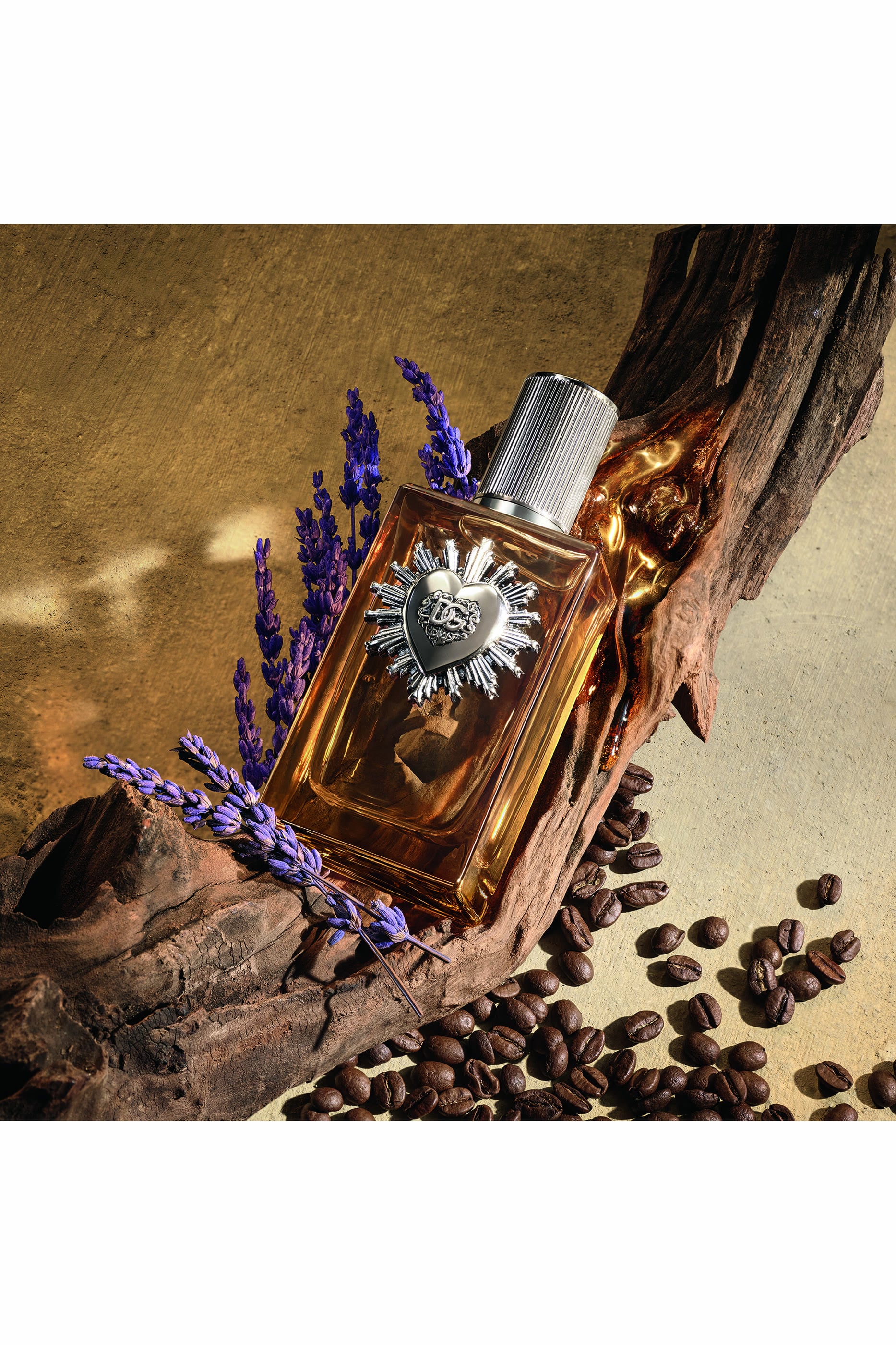 Devotion Male Parfum