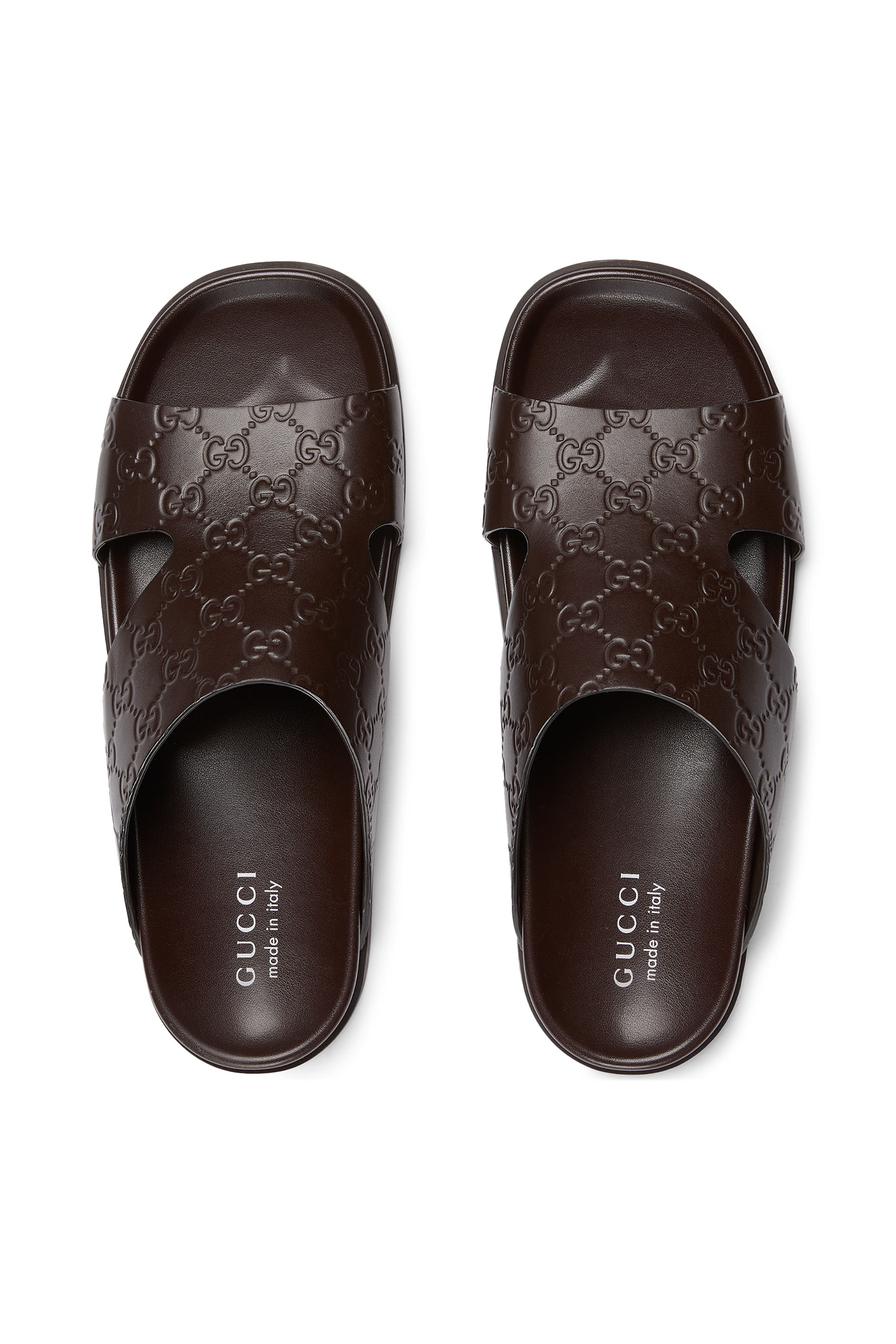  Rhein Open Slides