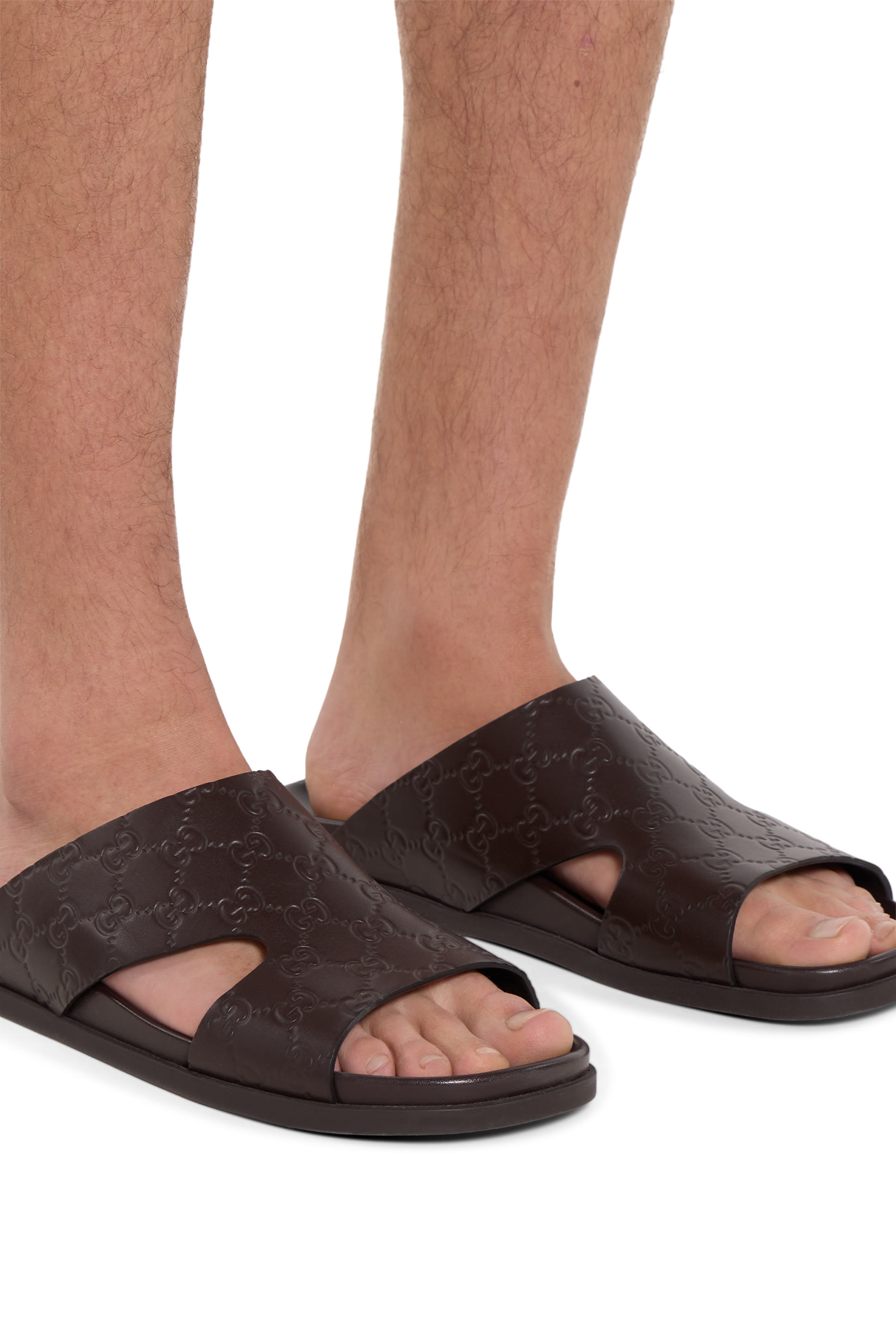  Rhein Open Slides