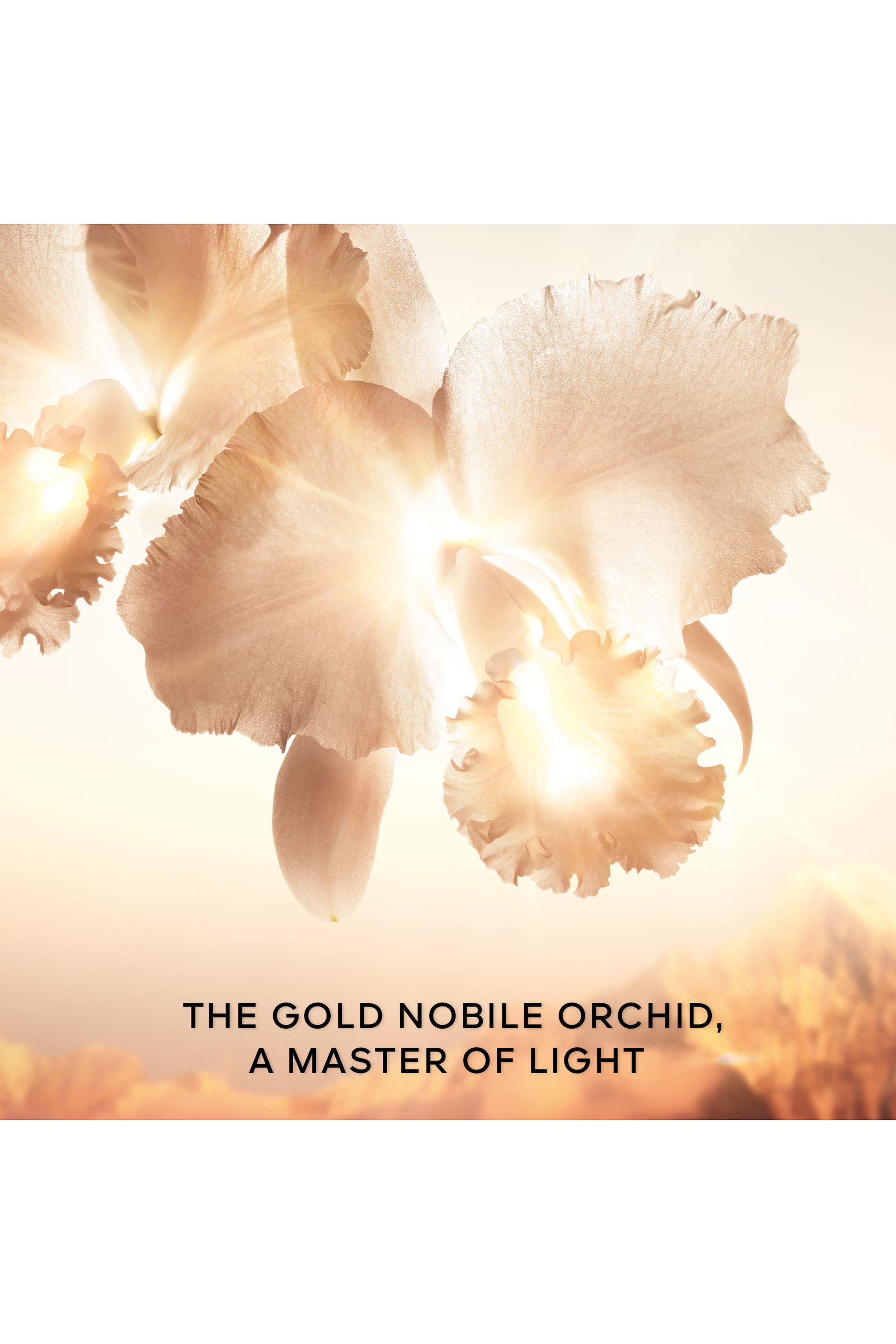 Orchidée Impériale Gold Nobile The Goldessence Lotion