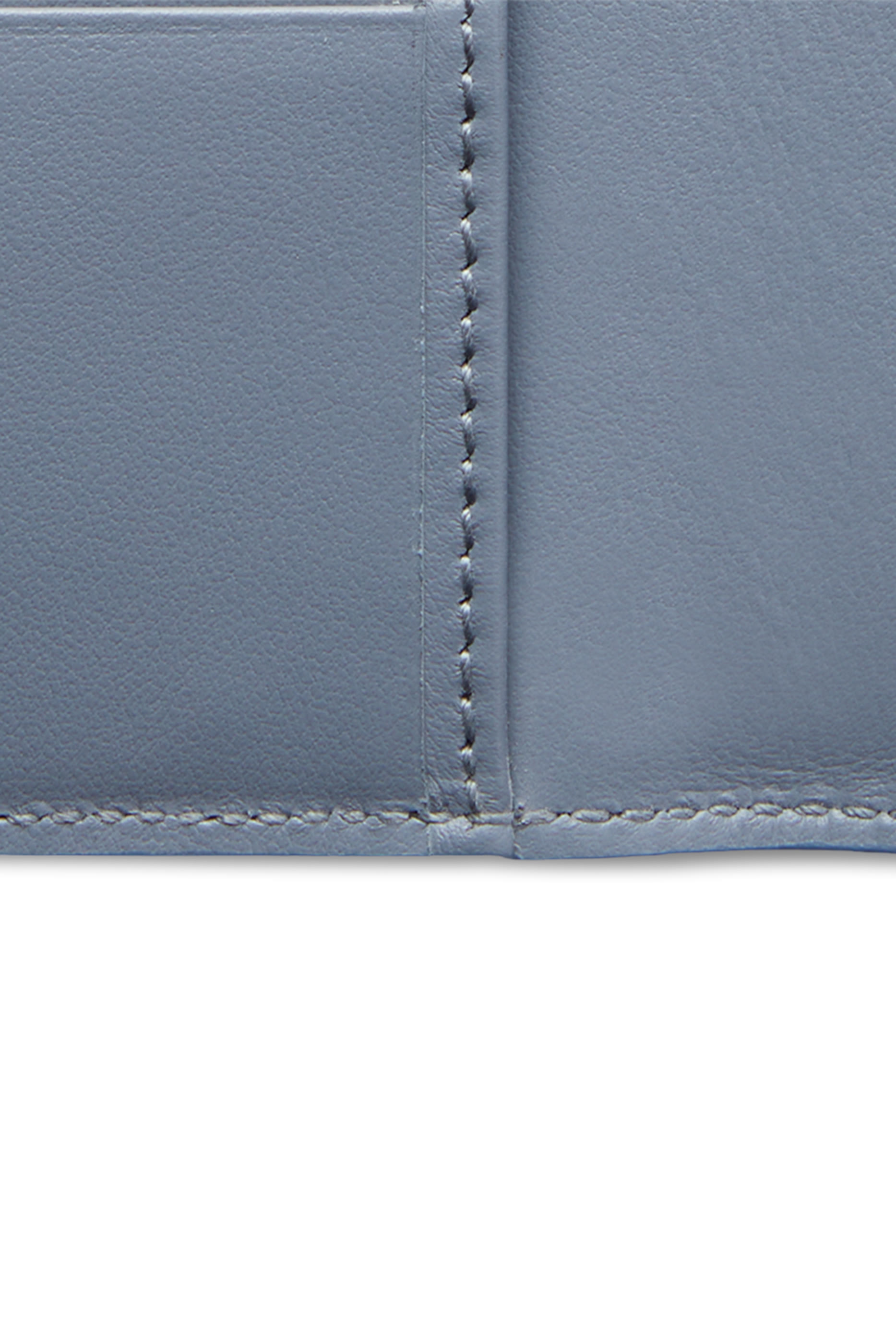  GG Passport Case 